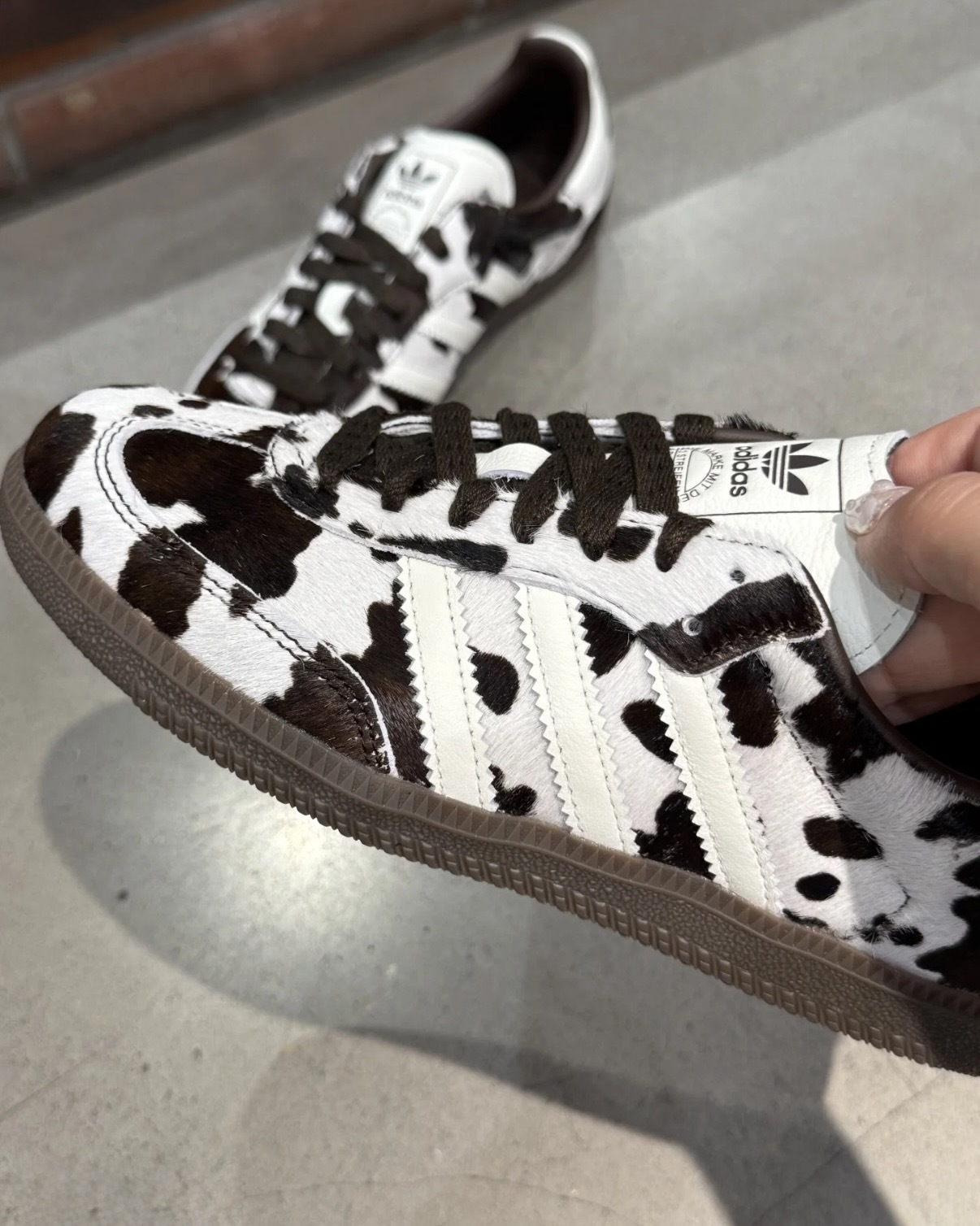 image_FB3131F7-4354-483C-862D-36B1A35856D5_1758696651