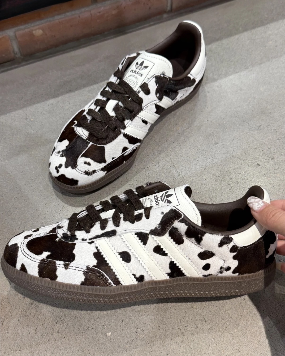 image_688AE2D2-0B91-48EC-A084-BAE820D31D7D_1758696651