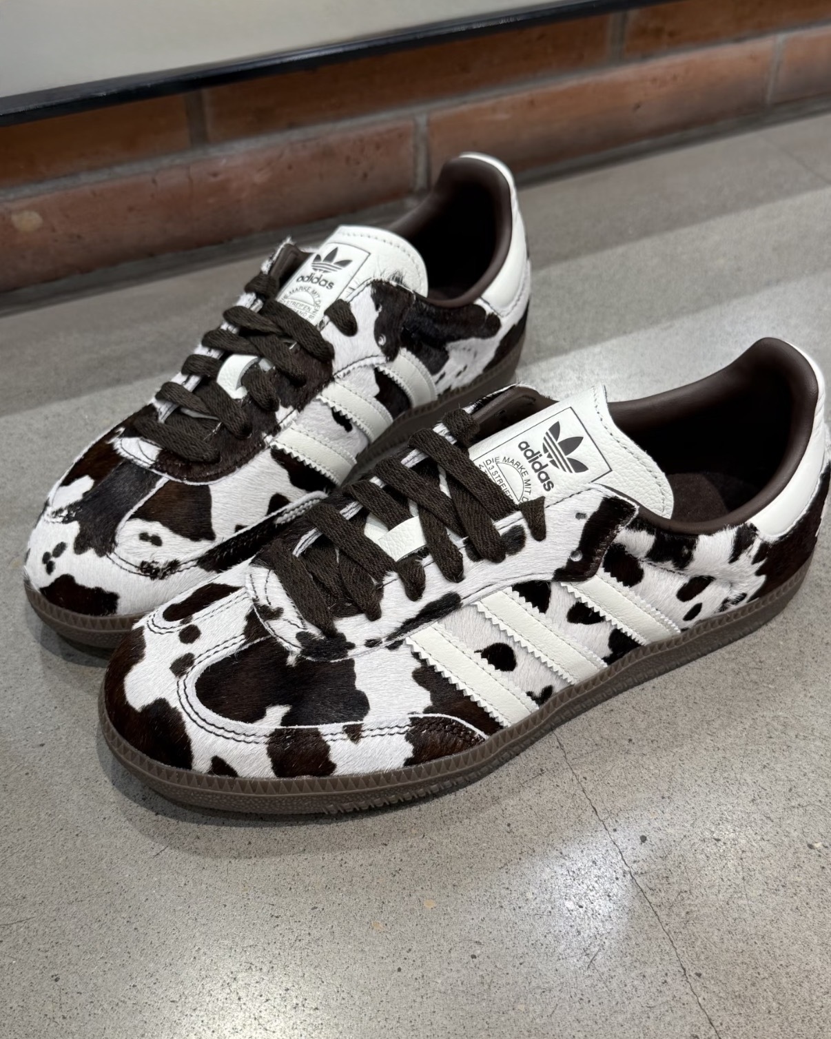 image_F5DD8666-4540-42FE-9BAE-E103D1E3387C_1758696651