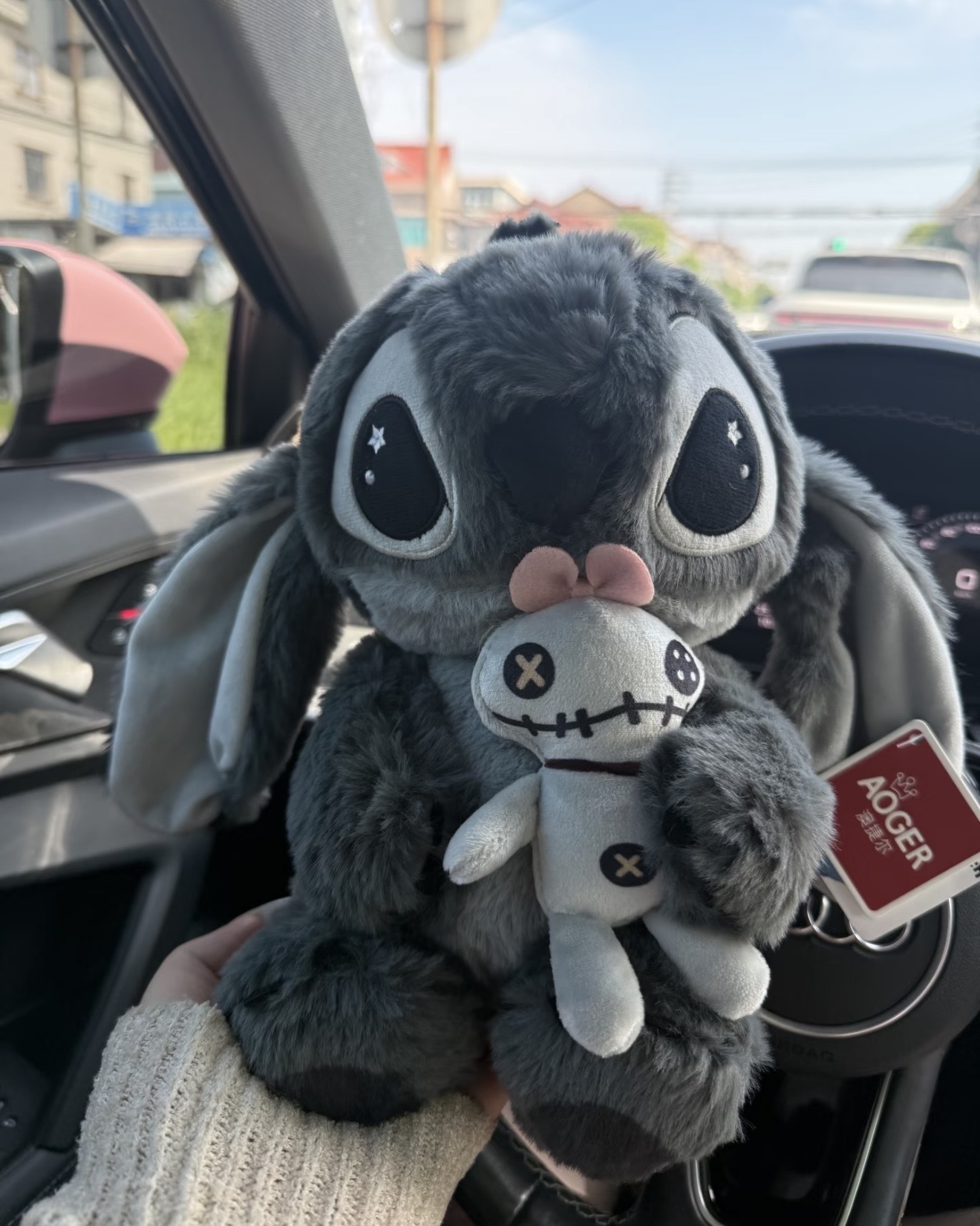 image_D8212DC3-8A47-4F45-92CD-BA937BC39078_1762439512