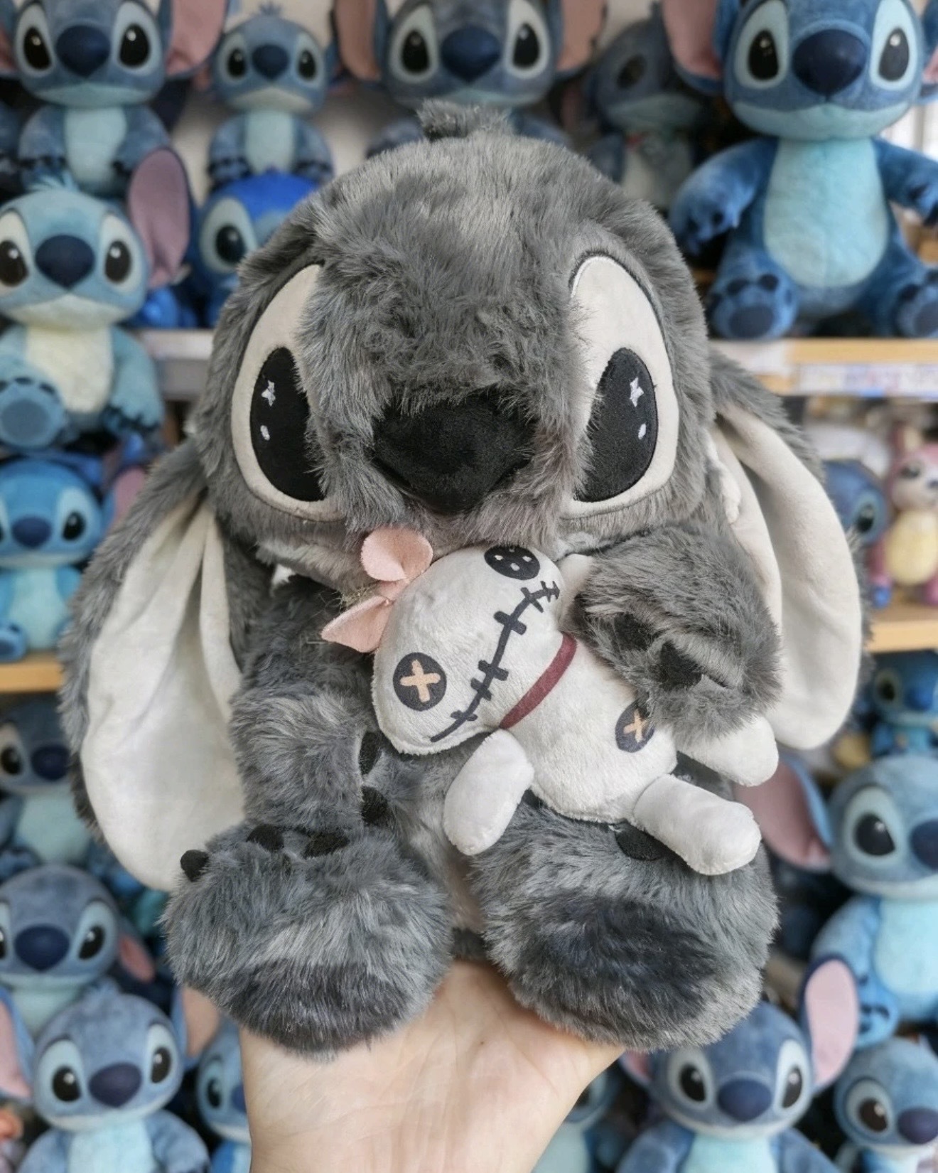 image_9BD79B15-B4A7-4FBD-B8F6-D5D7B62F65FF_1762439512