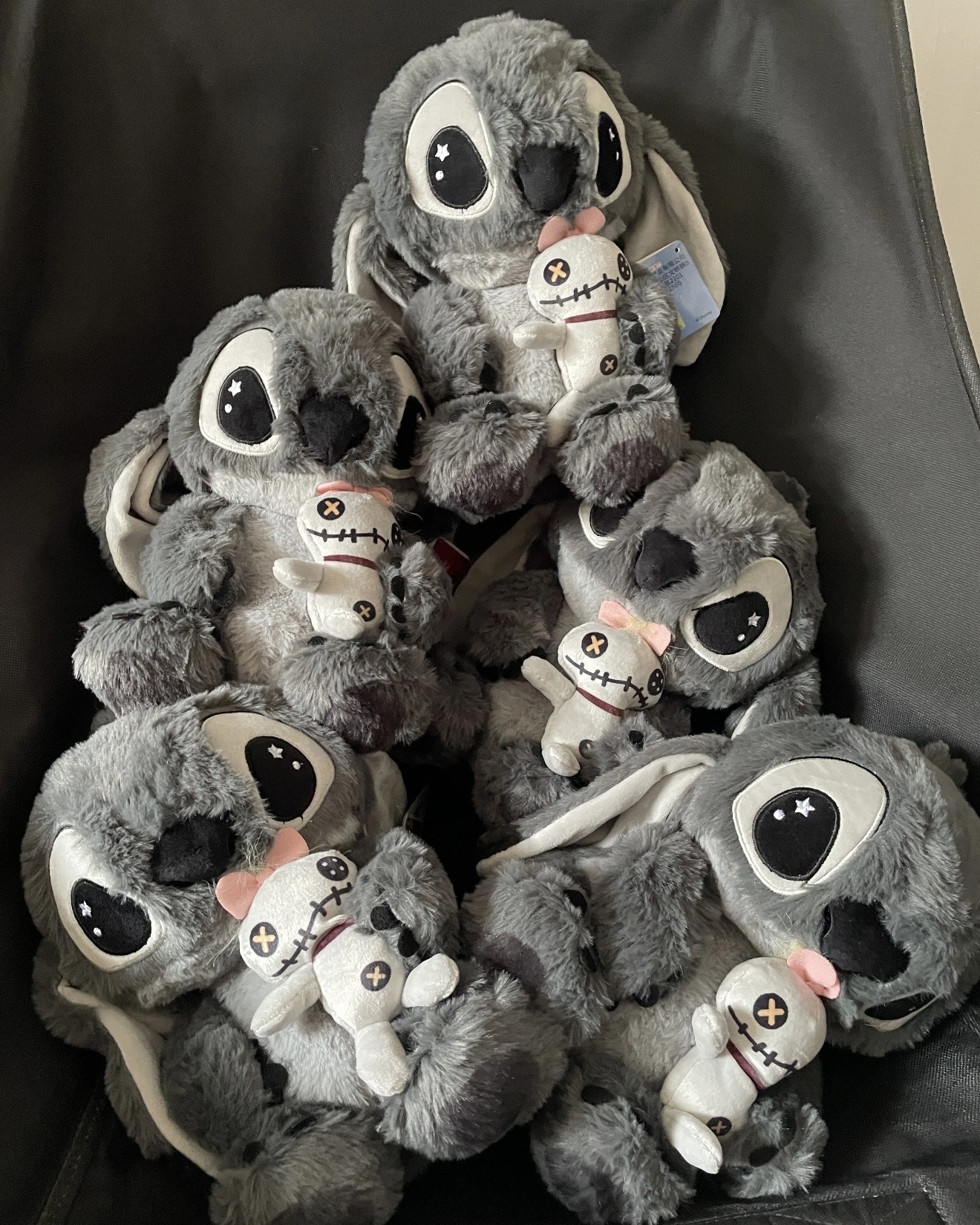 image_C86AF269-10D0-4E41-BA20-A03A4F9615CB_1762439512