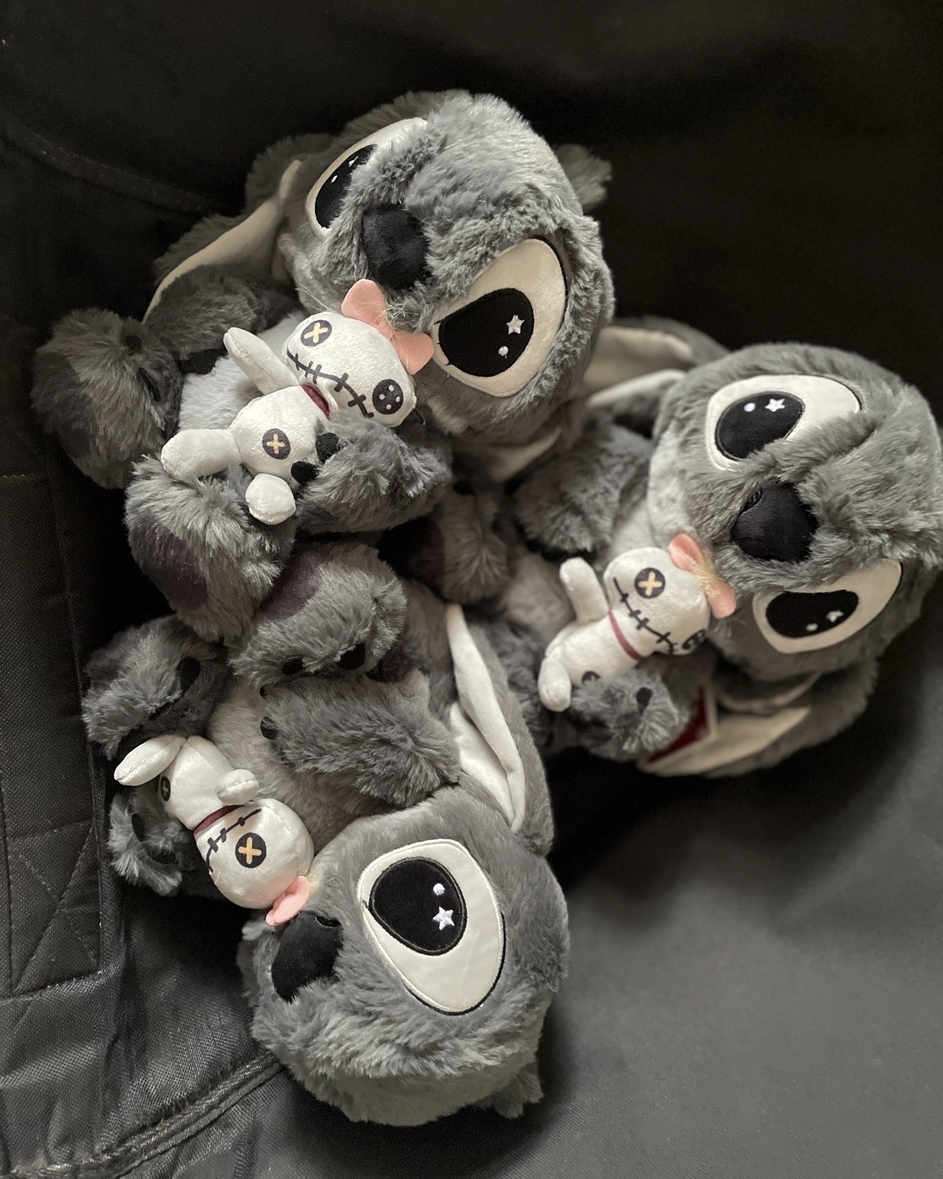 image_FEA6B268-E315-4A01-BAB2-6B8485382361_1762439512