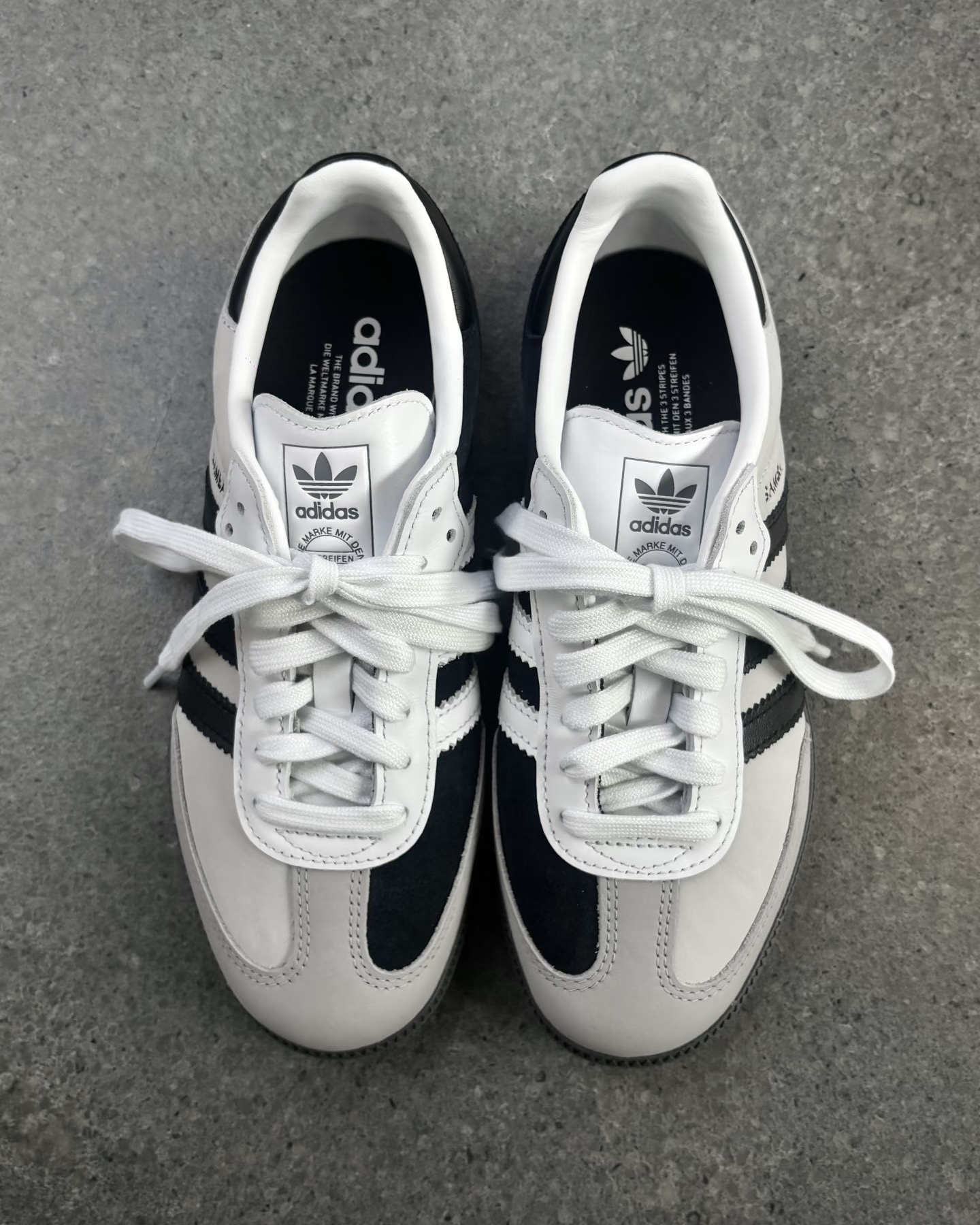 image_6A438857-D7DE-40D2-84F1-FB0B050D2ACE_1762590595