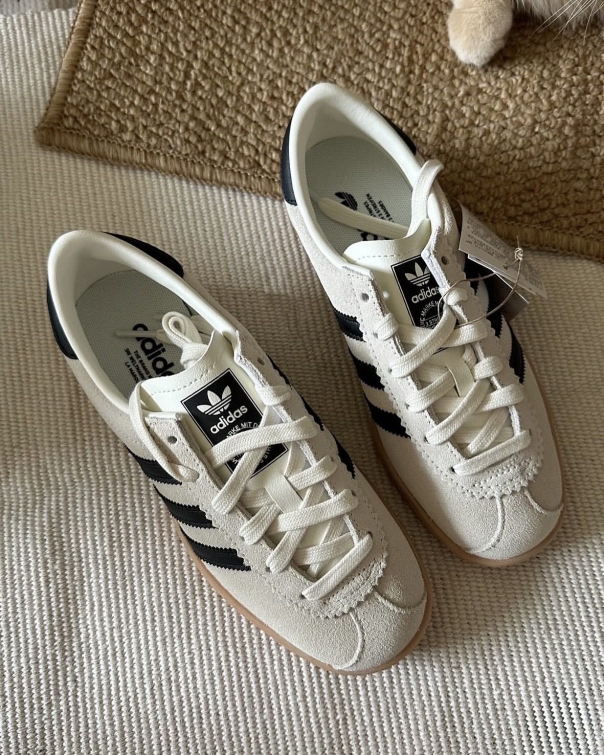 image_1BC8E016-70DF-4A4A-B5DB-3023F29104D8_1764662773