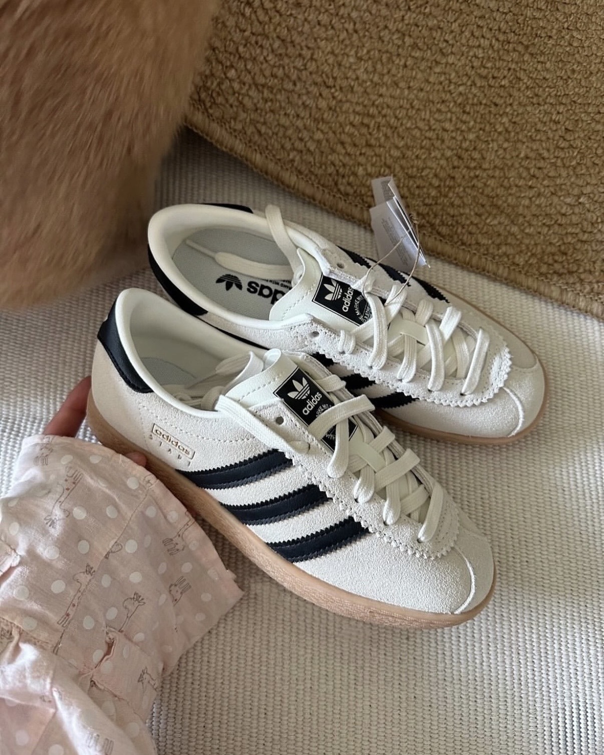 image_6A7885E7-6904-459B-A31A-82D8611CE876_1764662773