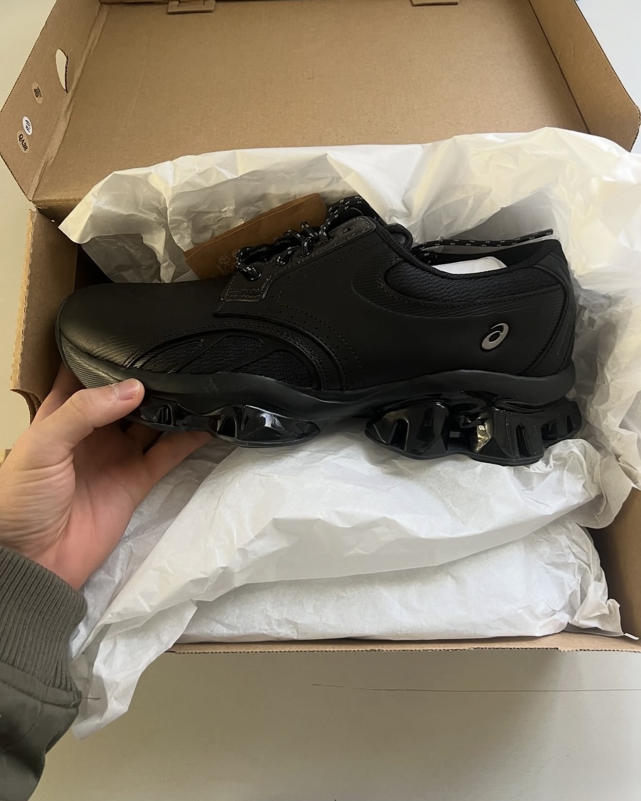 image_B605CCA6-8C58-4B6A-B064-70377D129364_1765008575