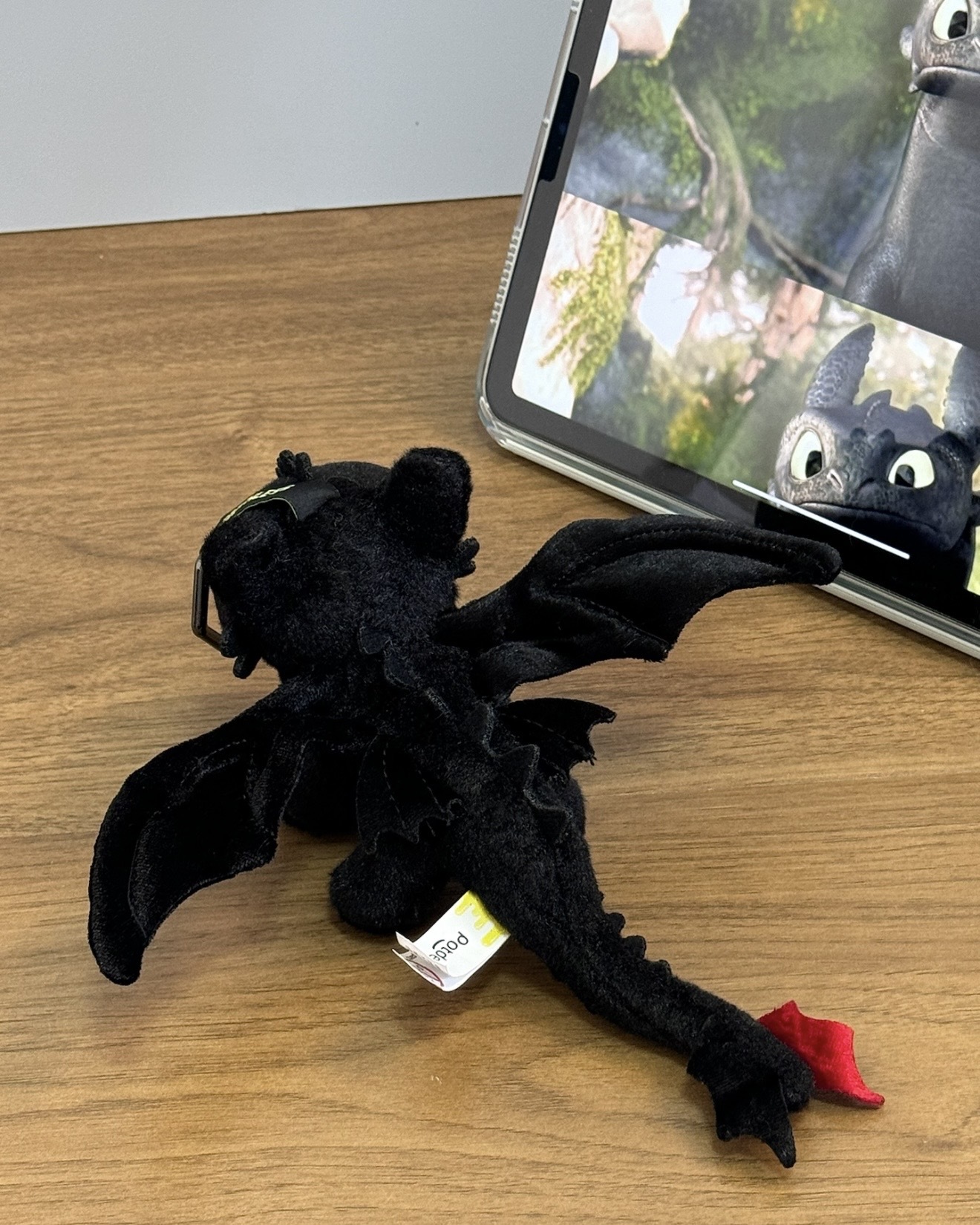 image_38C9E1D9-CD5F-482E-BD99-FA96EF951B4C_1765012611