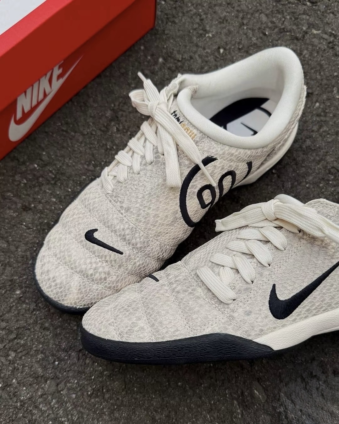 image_2E94F93E-311F-4732-A397-1AB161009D68_1765275575