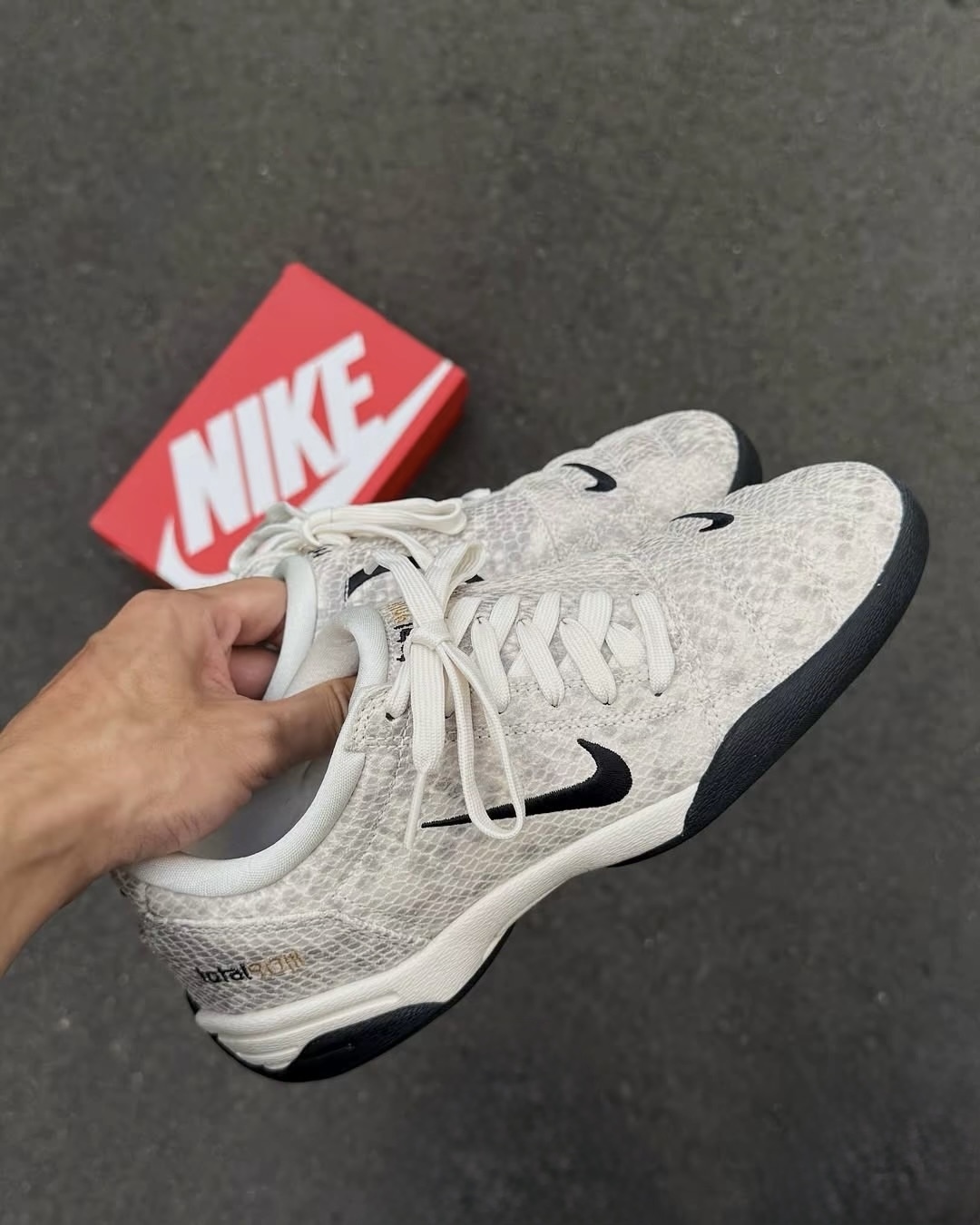 image_C3B841BC-EA7C-4AD8-AE5E-442E676030FD_1765275575