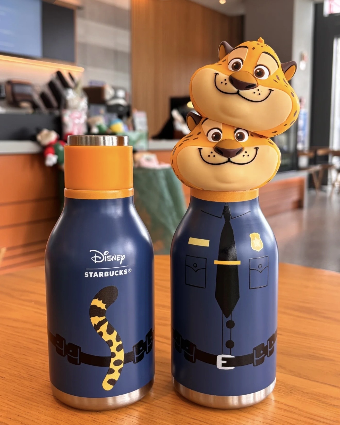 image_49305AC3-9AAF-4291-93B7-7A91ECC2226C_1765378203