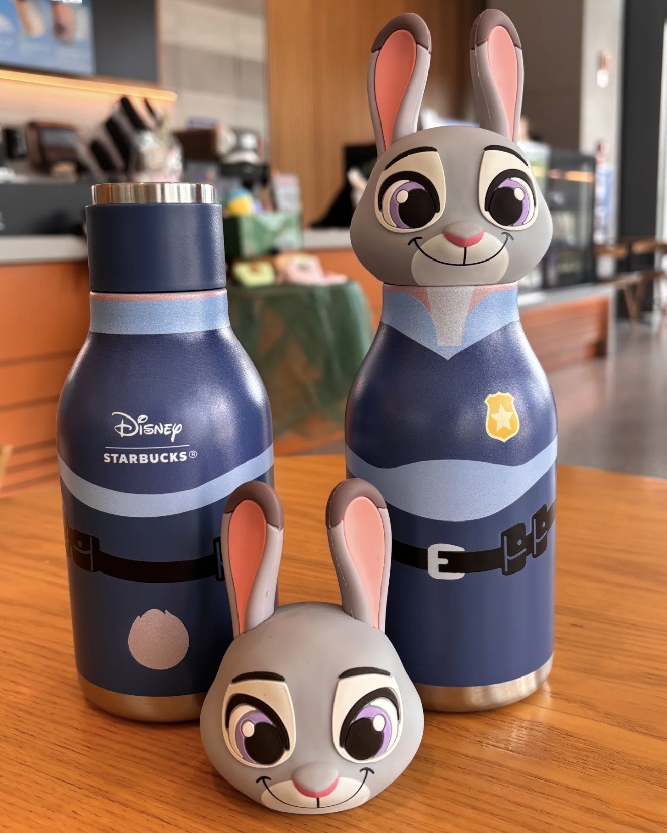 image_8B8DB1A1-42E1-48CD-8E87-1EA103C80971_1765378203