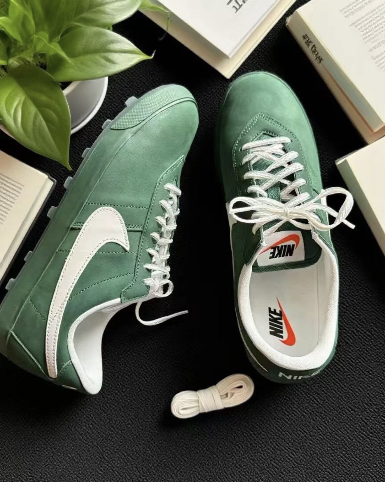 image_CC1A3C84-C600-40C3-8669-3BE8AC258F82_1765389351