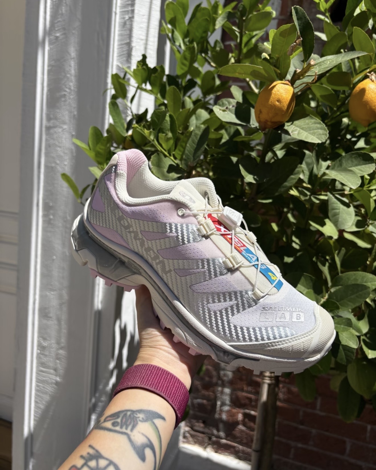 image_60F44EA8-E848-41FC-AE0E-6C9FE1DFADEF_1765396053