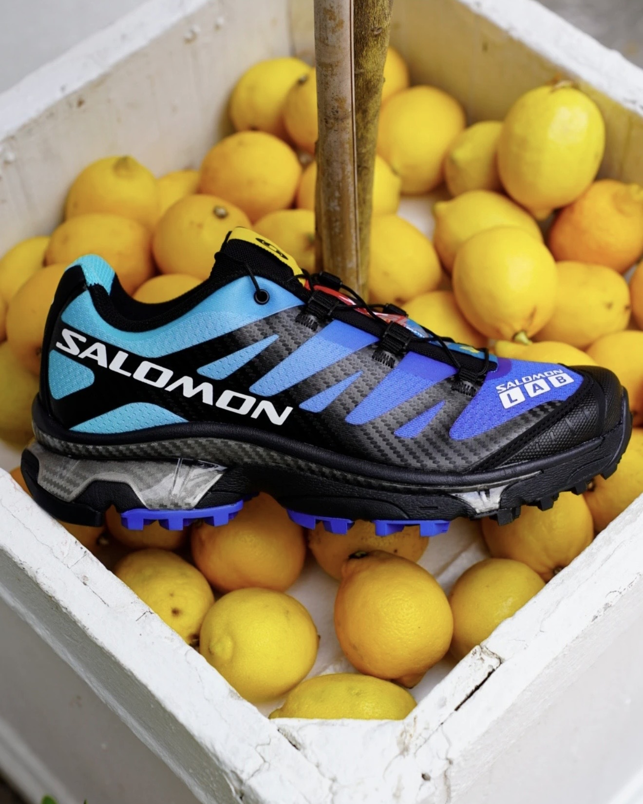 image_F39A7749-5E88-4825-8221-634196F725BD_1765396871