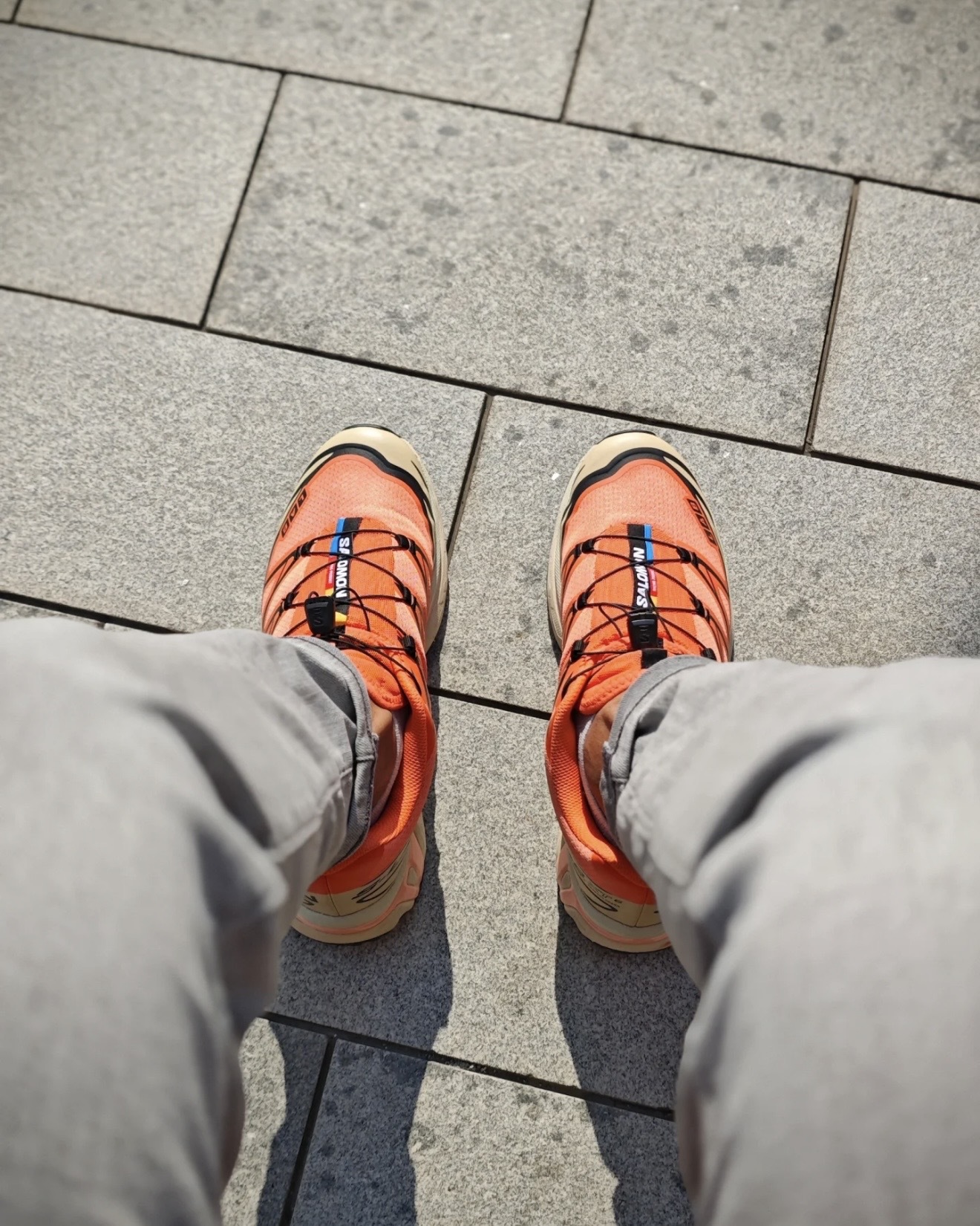 image_9755BC0B-04B5-42E0-A669-DEDBC18A0E91_1765398110