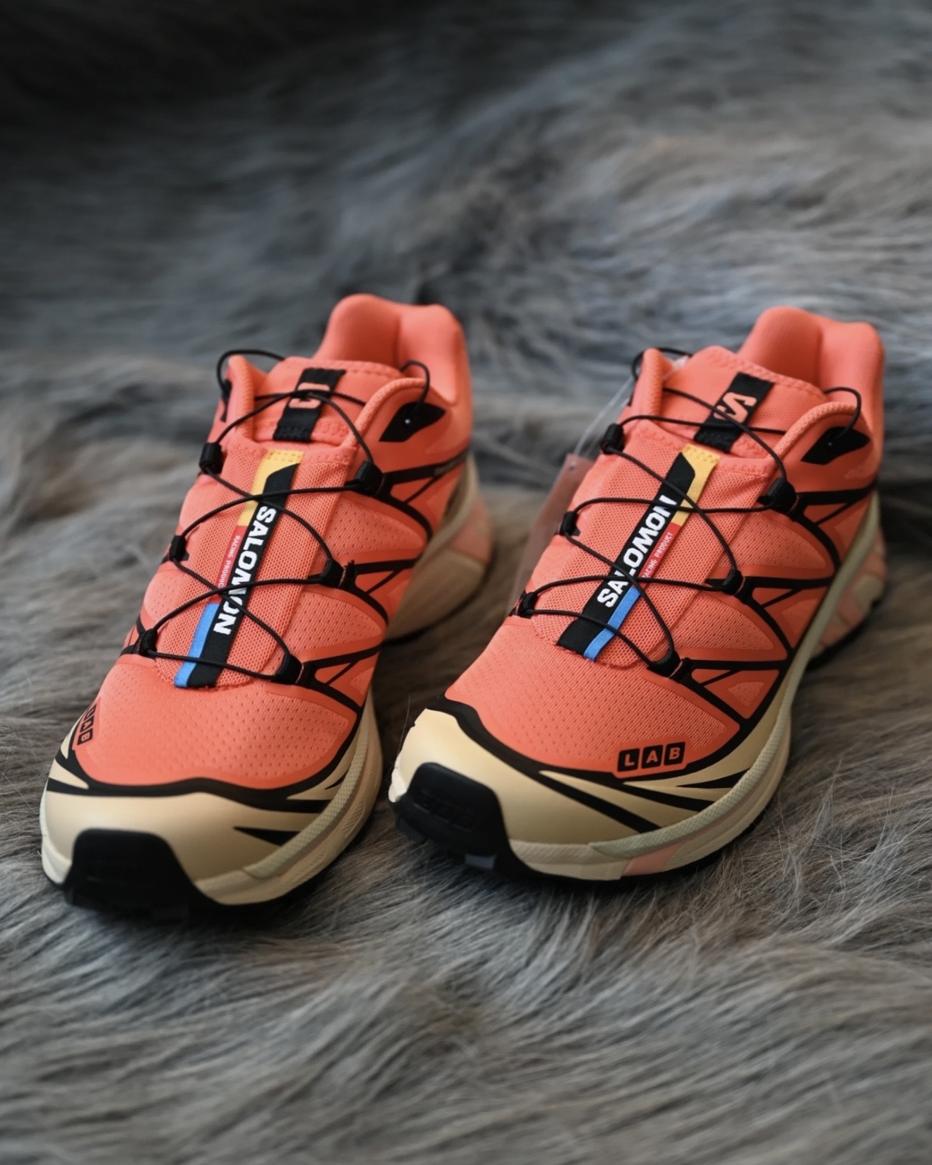 image_56D89562-A9E9-4358-9CFF-6C9135241891_1765398110