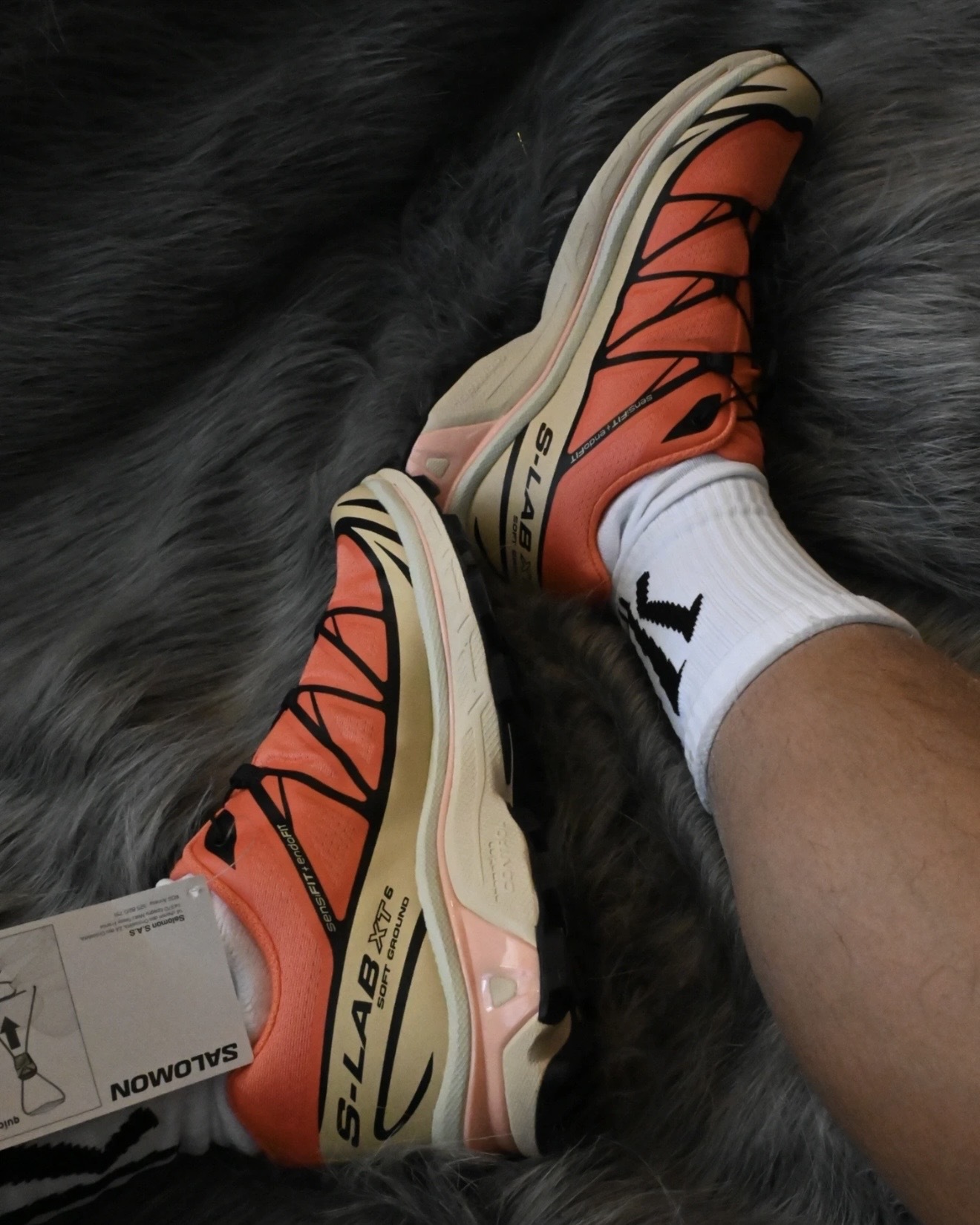 image_CCEE20AA-B5AD-4C34-8B7E-5DE77D5C97C8_1765398110