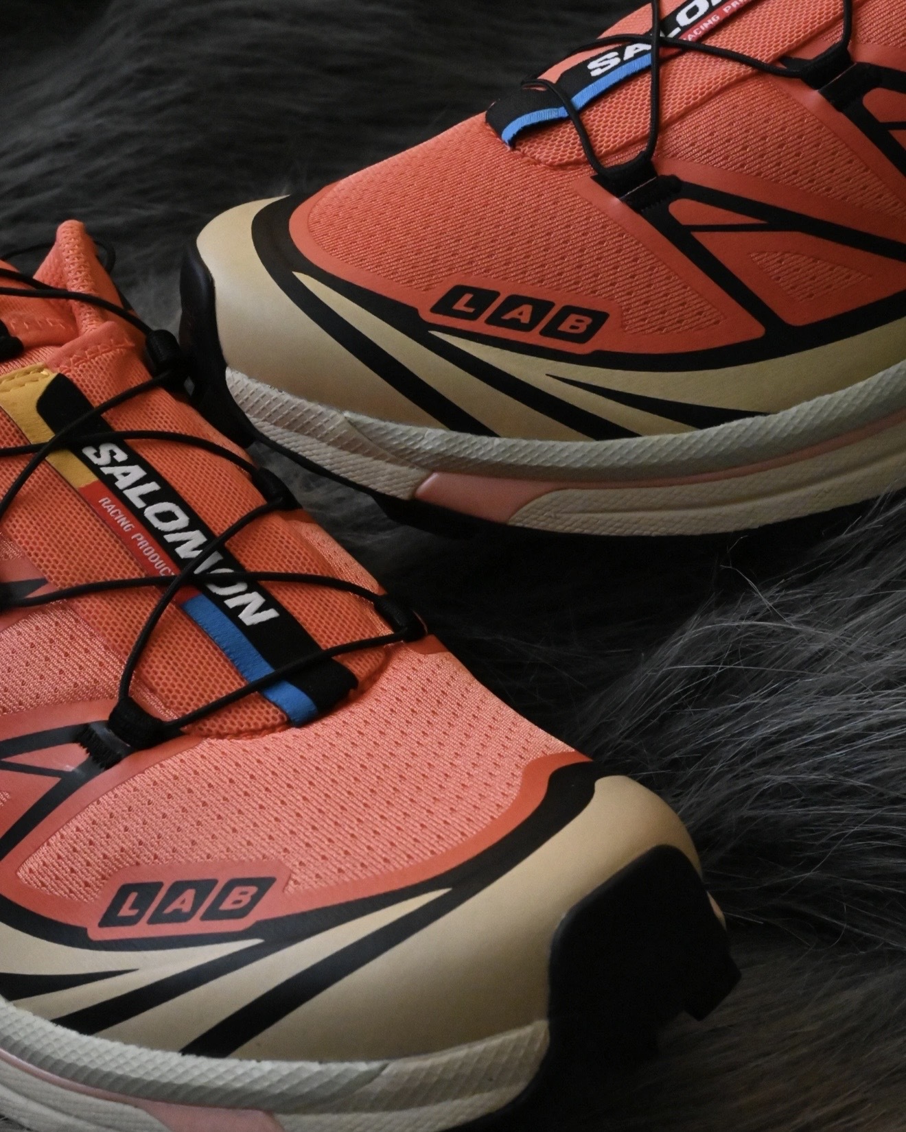 image_48668AFA-7F8B-4F68-B9AA-BE5381940035_1765398110