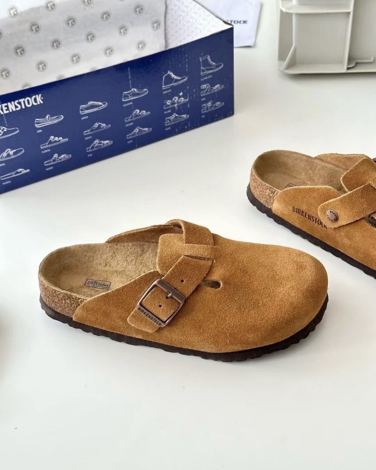 image_65B6A64F-EA3D-4117-9A8A-E06F861CCEEF_1765444768