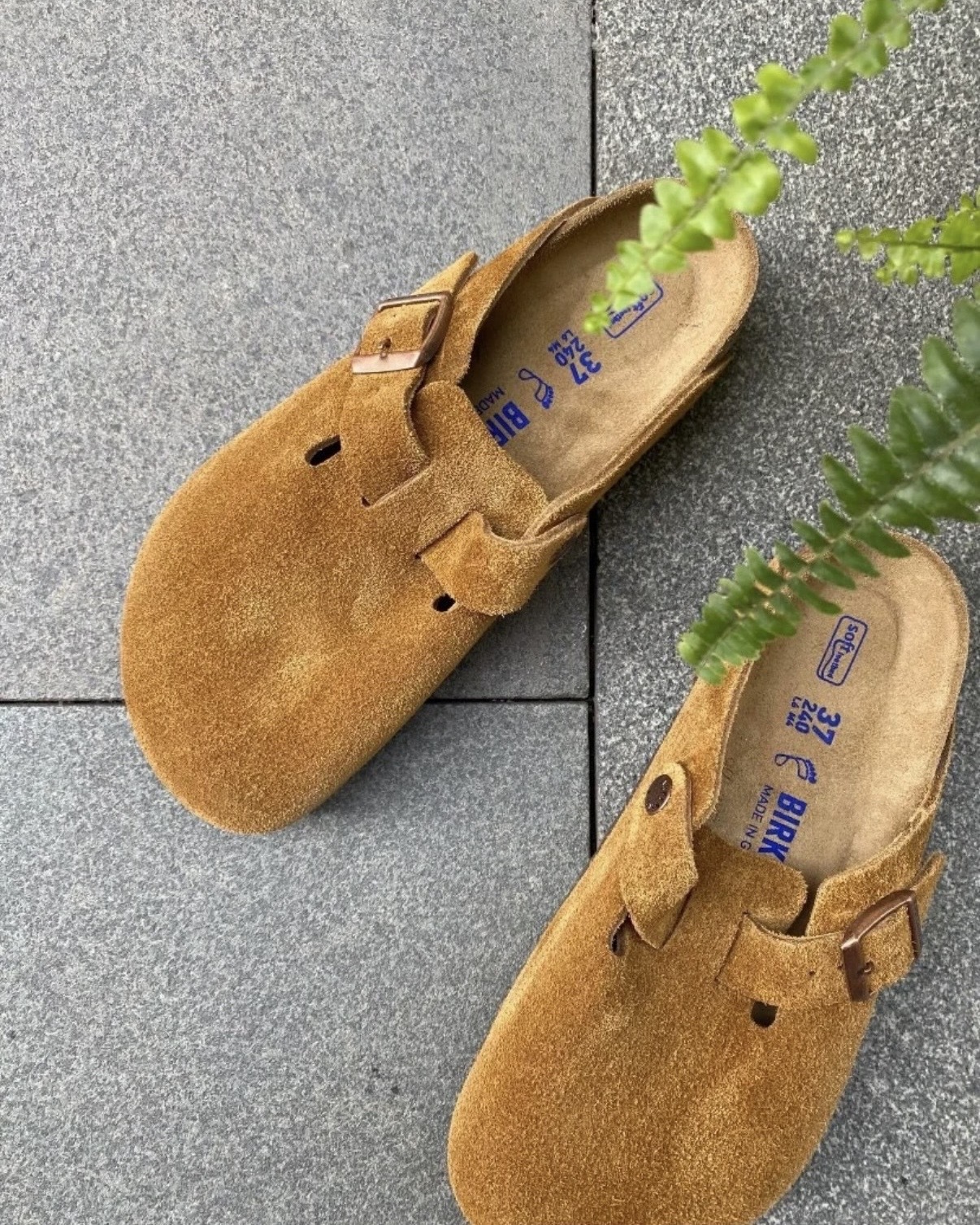 image_3F28541E-BBC4-4EEF-9221-15FDE9E6B364_1765444768