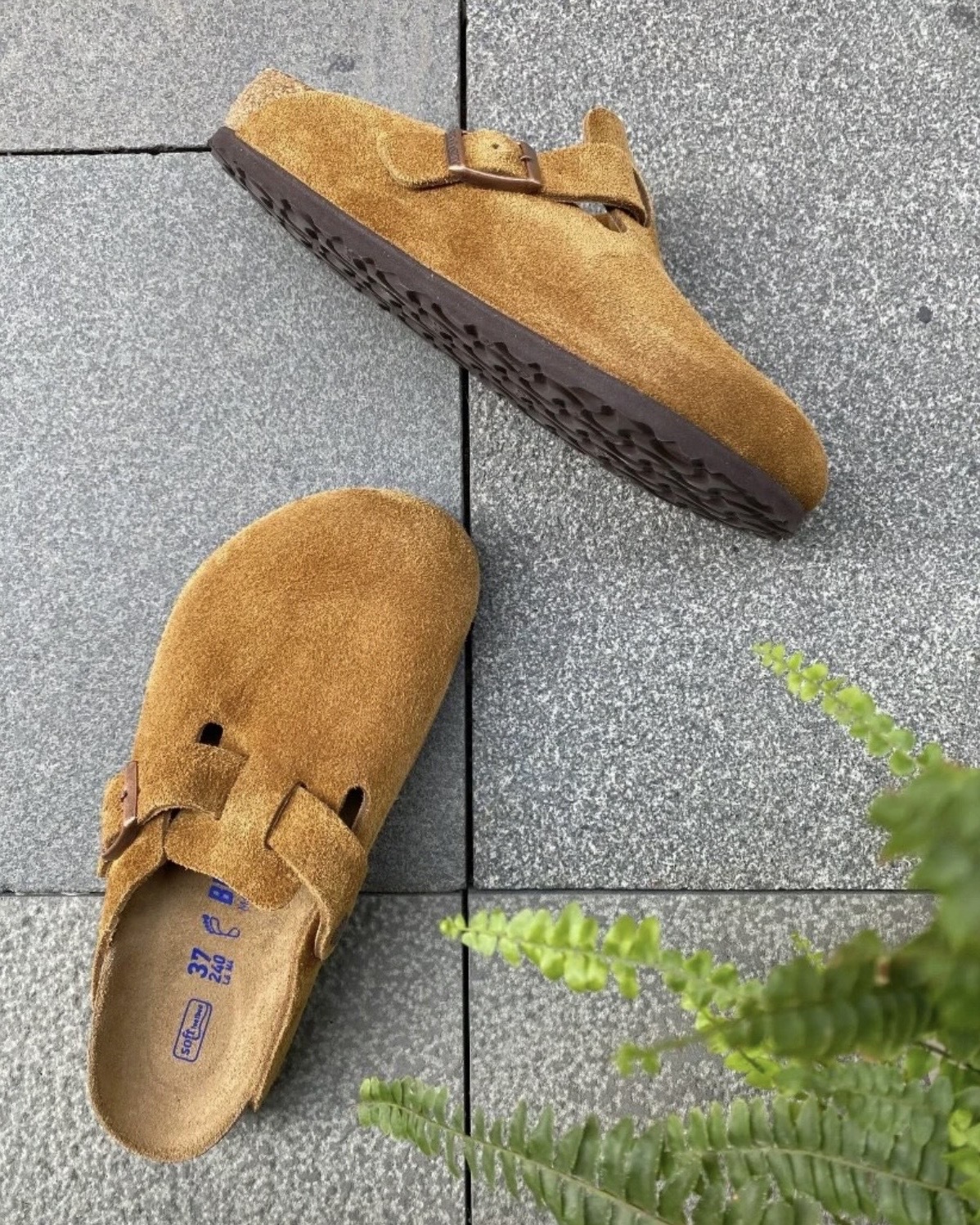 image_4BD8A0EA-EC45-463E-843F-23B3AF127AE9_1765444768