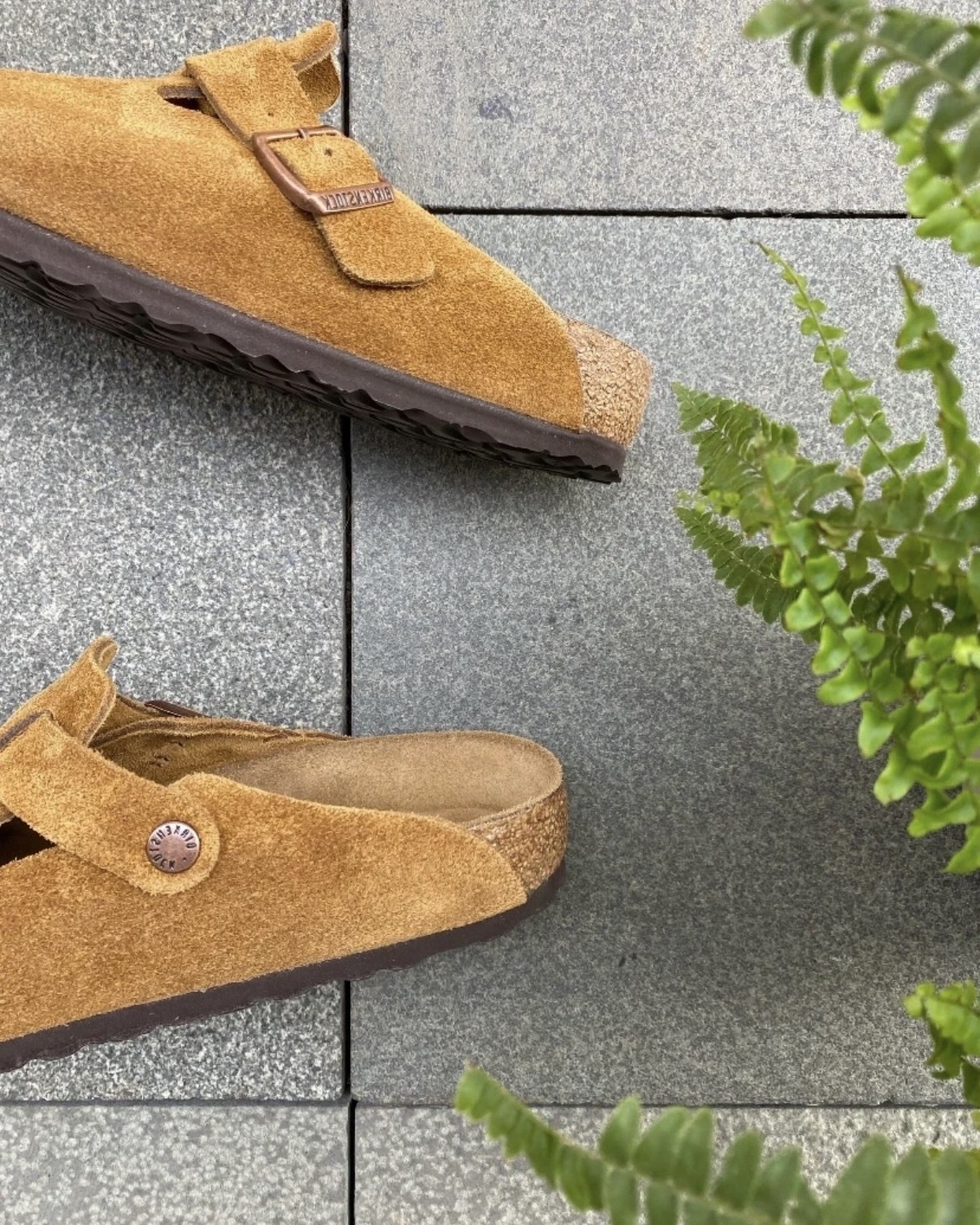 image_B9F8B332-31AC-496A-AF73-9A91C49F6D67_1765444768