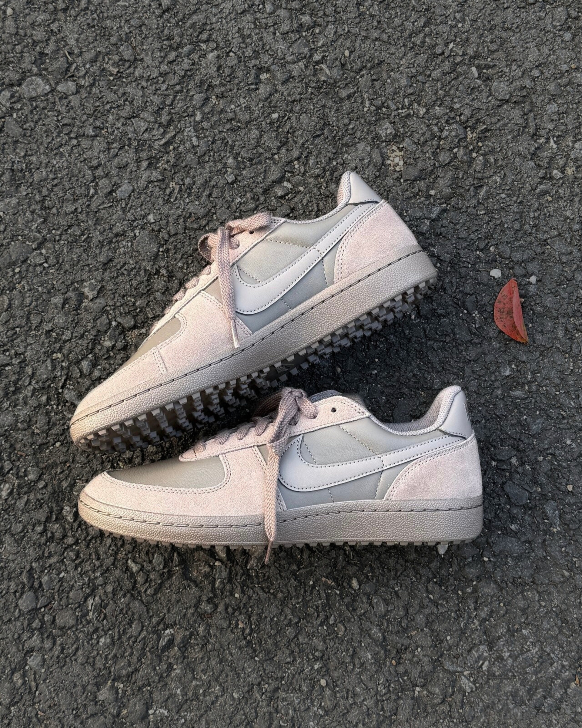 image_487D28F8-1CF0-4176-BB9E-9C3E72F76453_1765861337