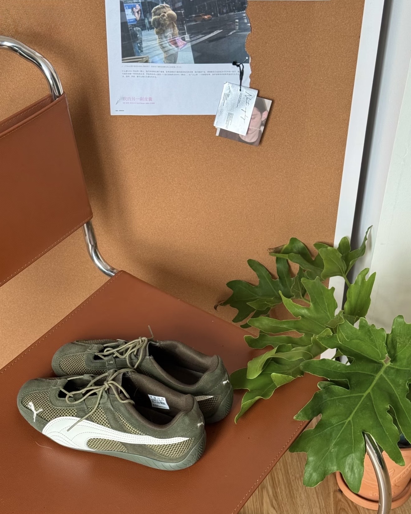 image_5E740610-DDBF-42E9-9484-022DD134CA5C_1765876445