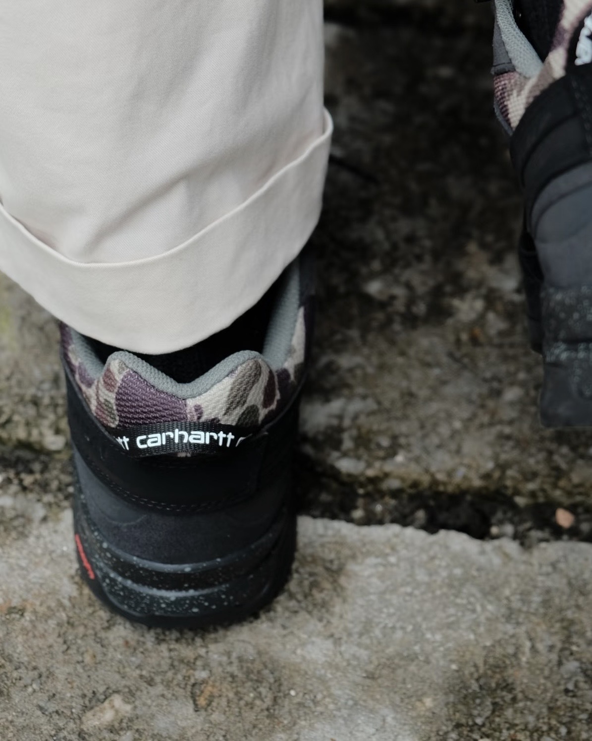 image_5784BB01-8D71-4AF7-9DC0-B3C96B037F36_1766909776