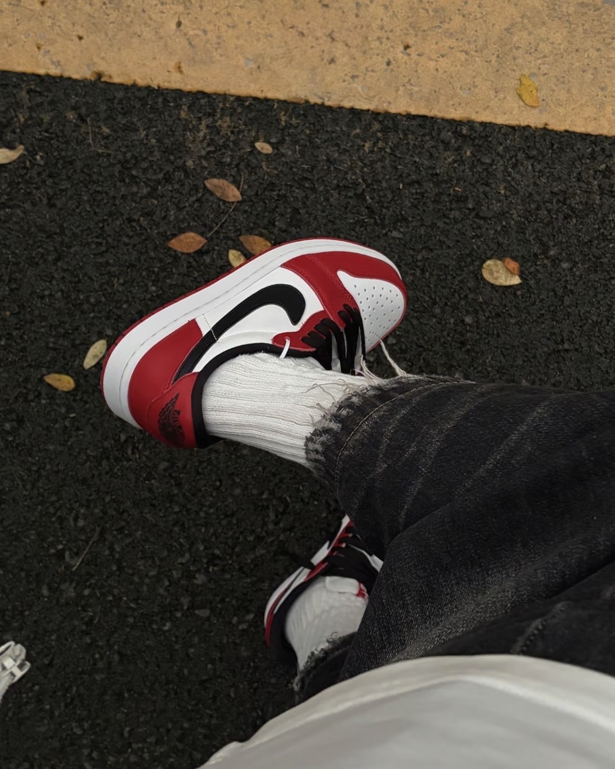 image_6BDF5DCD-63C3-4D68-9FDF-DA2DBC92EC00_1767517860