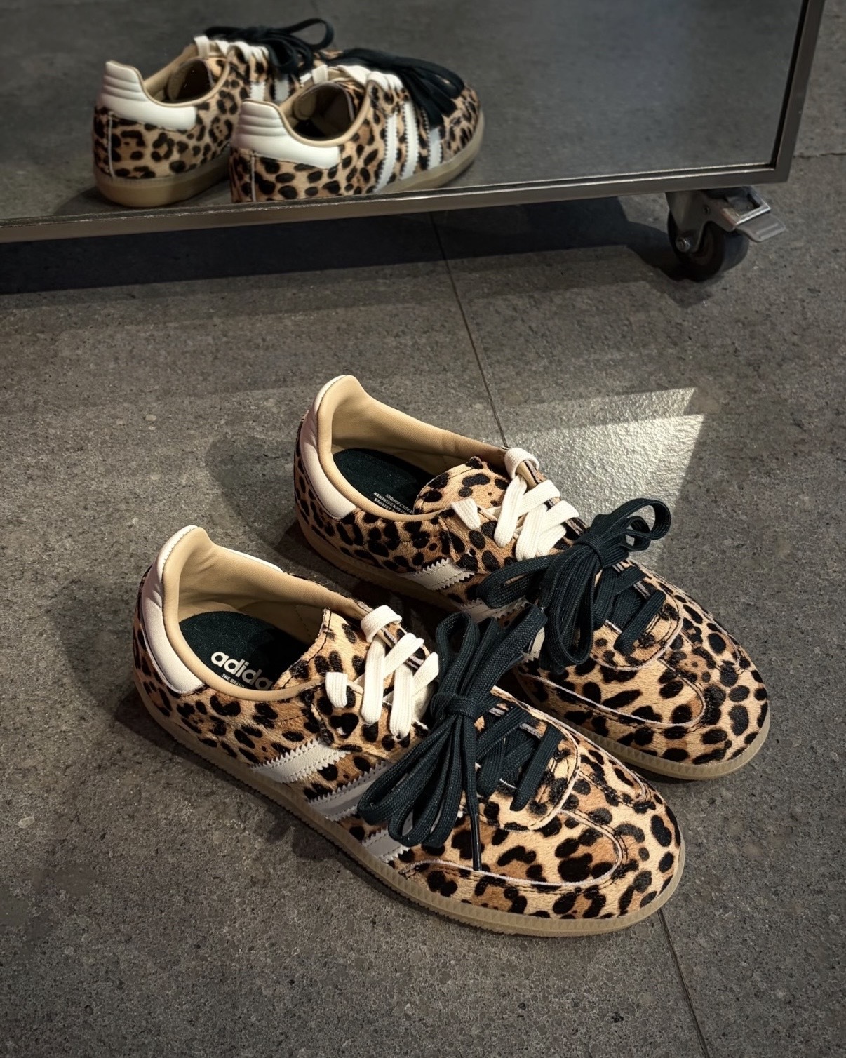 image_74EFE110-CB2F-44AA-B3AA-877558C05FCF_1767761798