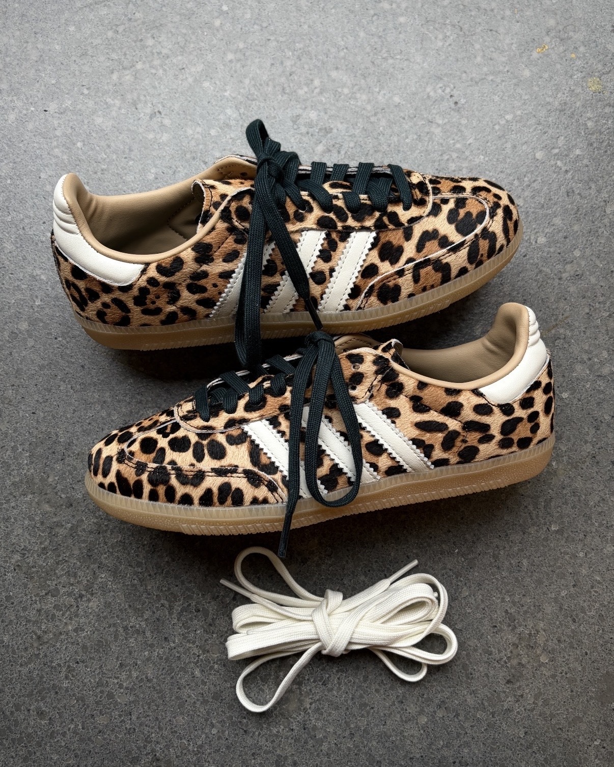 image_61EEBBEF-3CC8-4BF7-97C5-7EADBC70E266_1767761798