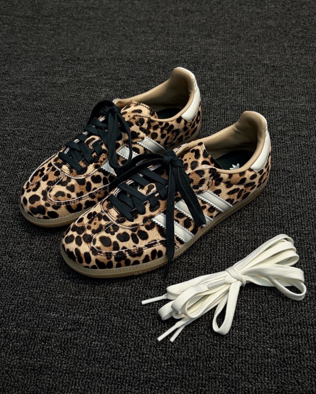 image_26E73CEC-6B8F-41B8-8E2E-DAB670B4A5BC_1767761799