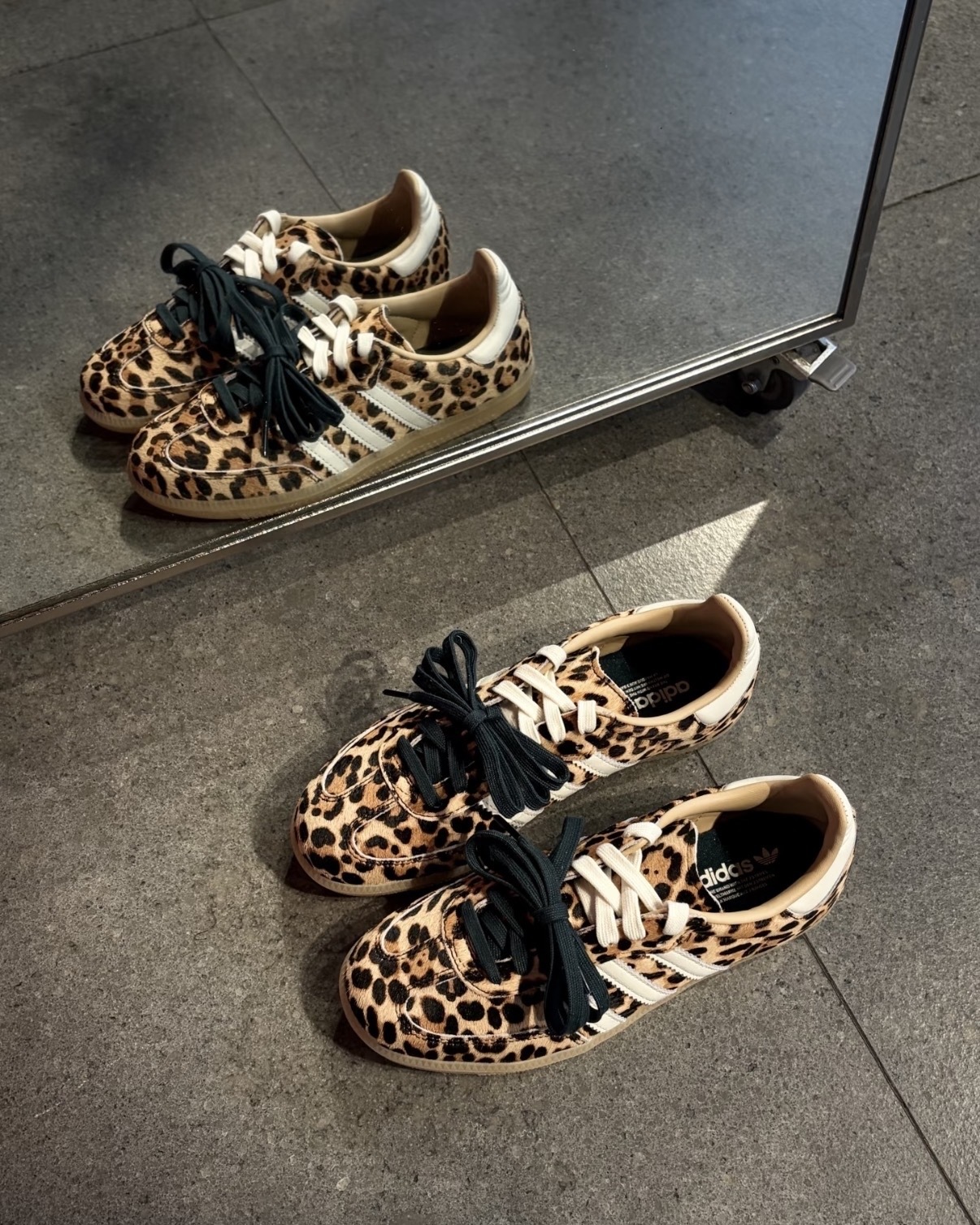 image_A2E0F742-1AE3-4B05-A04D-065CA2BE7F01_1767761799