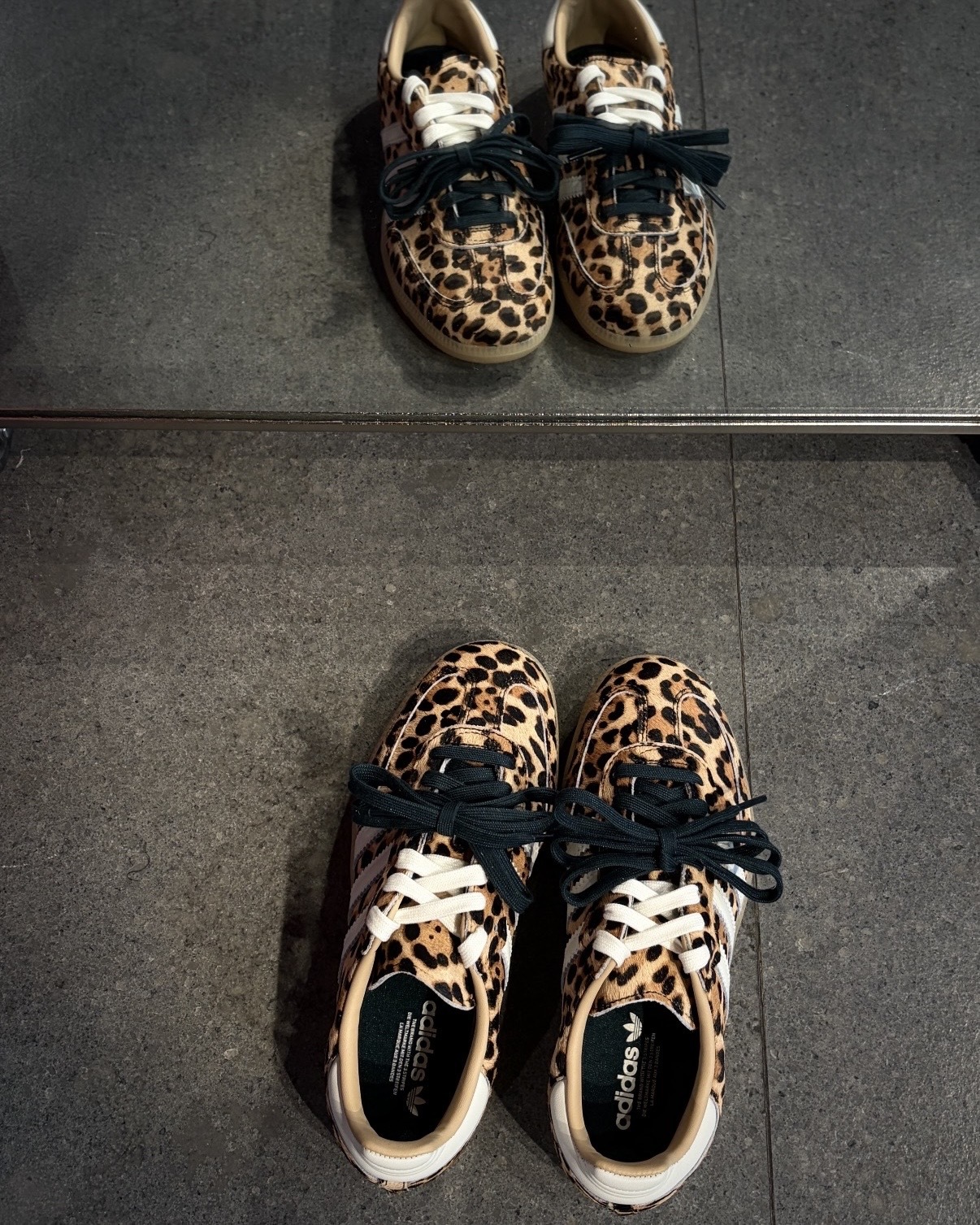 image_EDC8A845-7588-4D64-B153-18447BD67D8F_1767761799