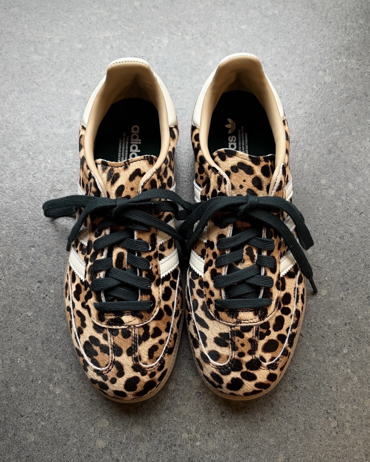 image_E108CCBC-C66F-439F-91AF-8C32C06C44F9_1767761799