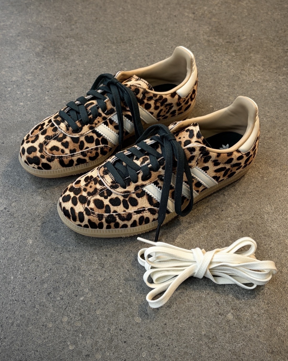 image_64FCBBD5-18DC-42EA-9F8A-4959AACEA1E7_1767761799