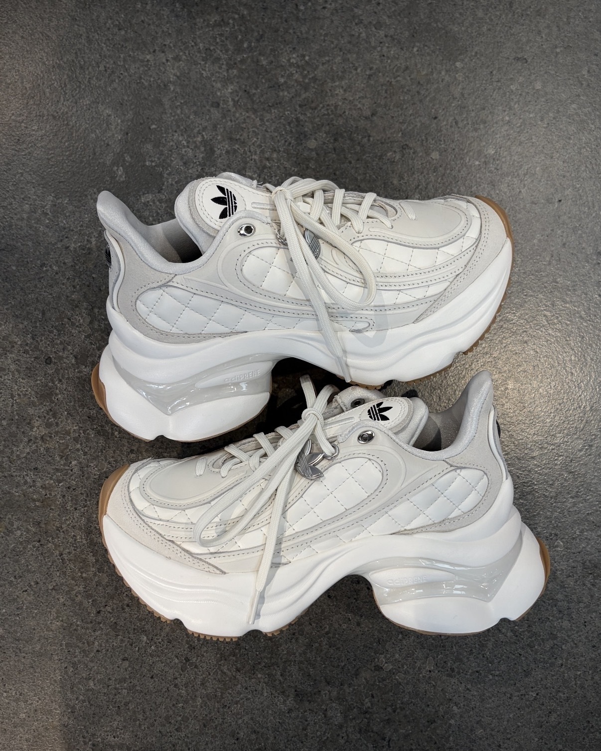 image_A5DDAAB3-311A-43A7-B915-B7BB8C37F1A2_1767847365