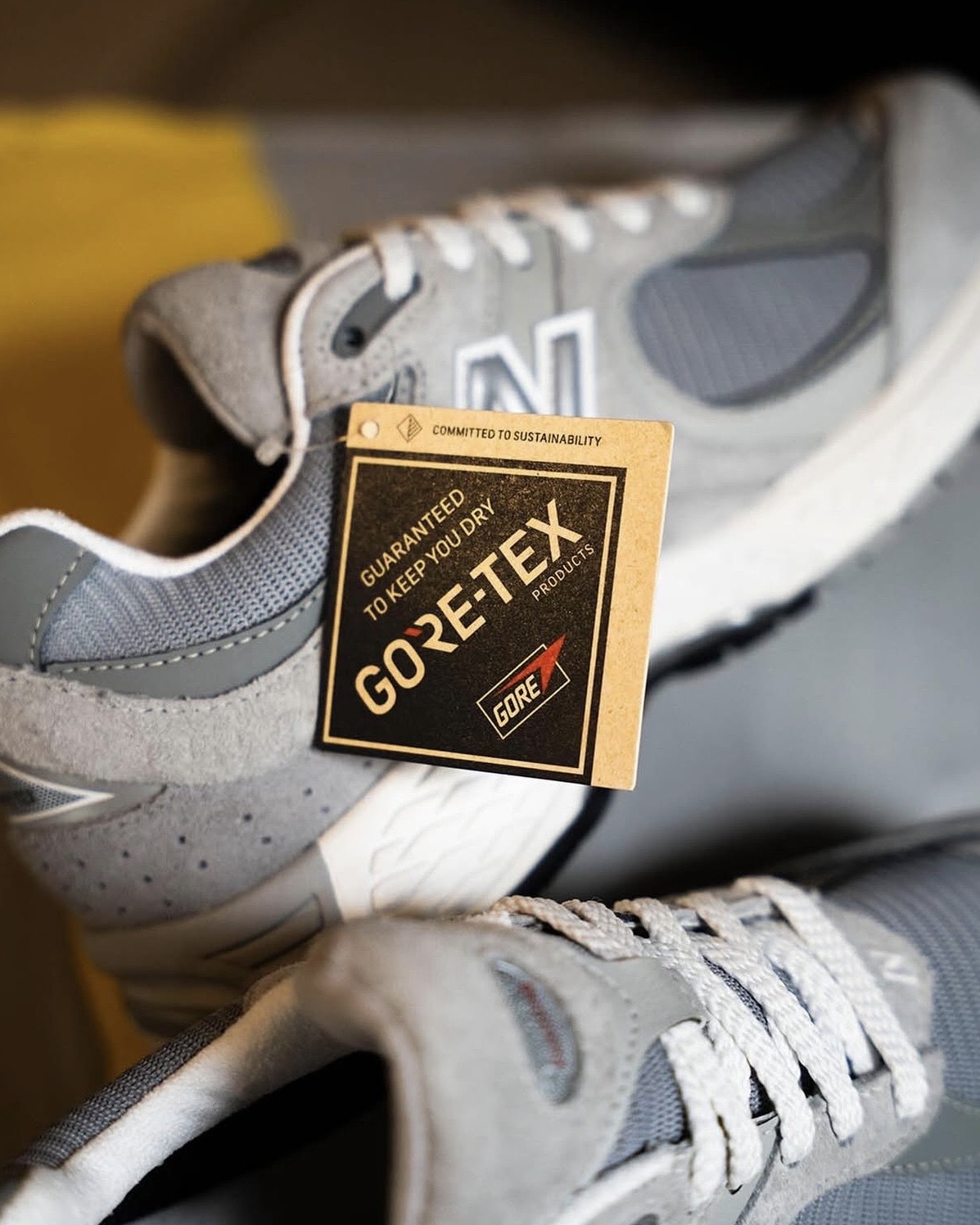 image_5A8B9443-6EDD-4711-A78D-F65BC3A83CB8_1768294833