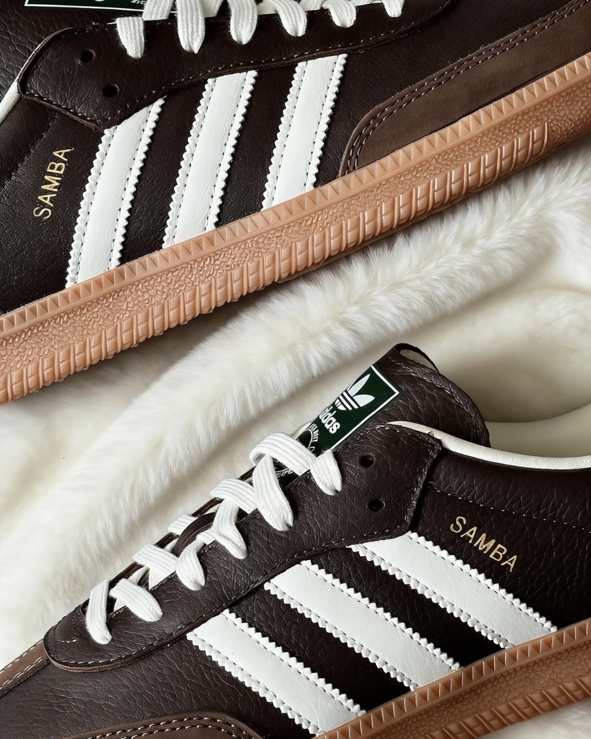 image_CF099F23-7288-4506-8049-5C16FDADA4BF_1768534349