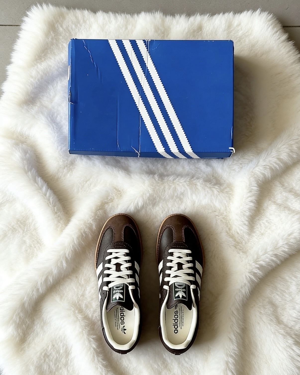 image_BFB811B2-AC69-44EF-BC81-D66E300A9E20_1768534349