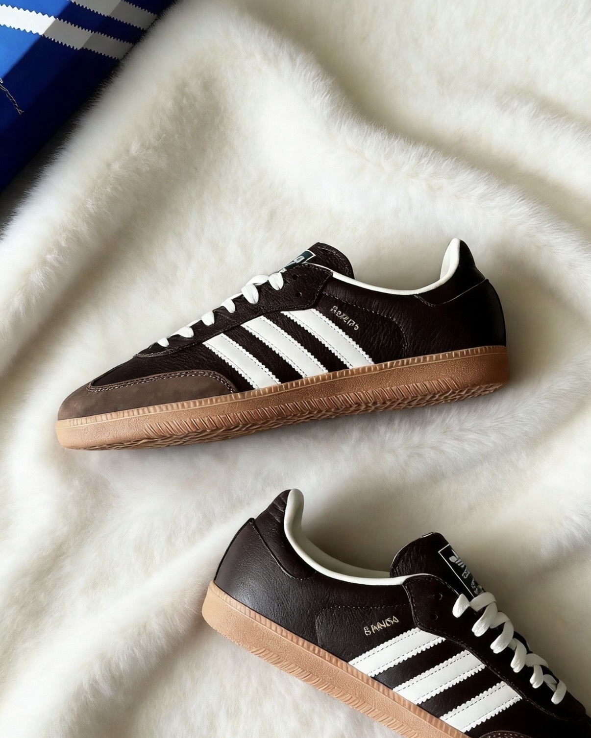 image_D71F3C61-F0EA-46ED-B04D-5E1628CAB50A_1768534349