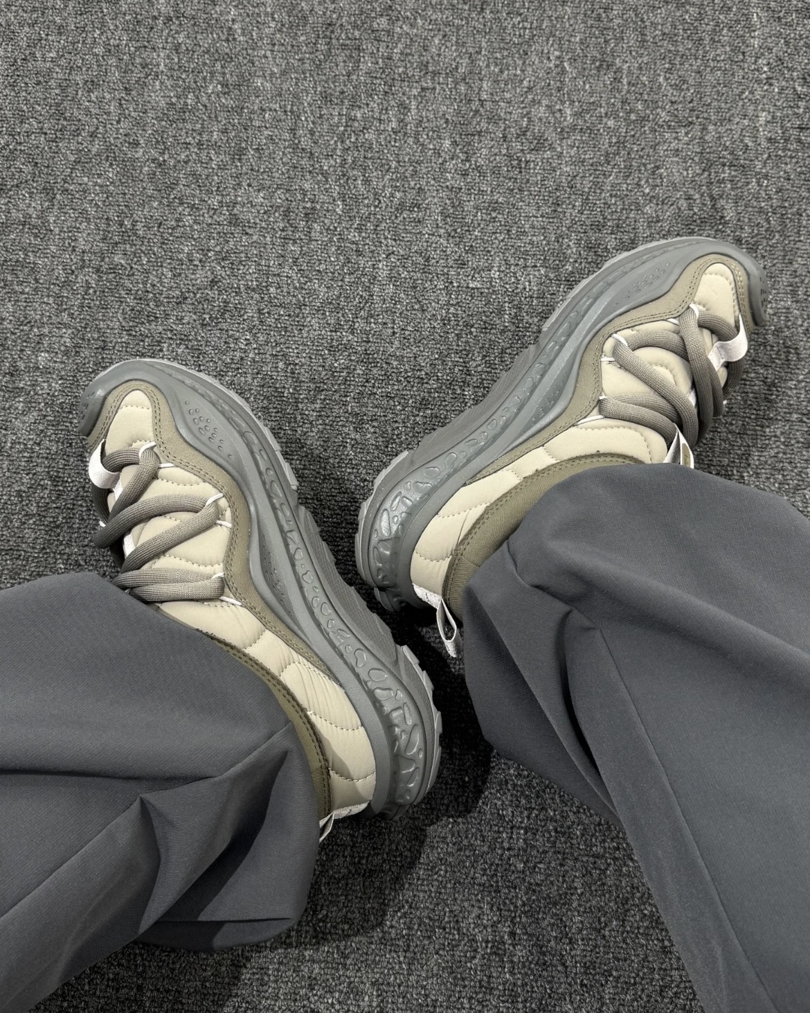 image_CCB84D95-9B22-4812-8DDB-72BDC9562346_1768552028