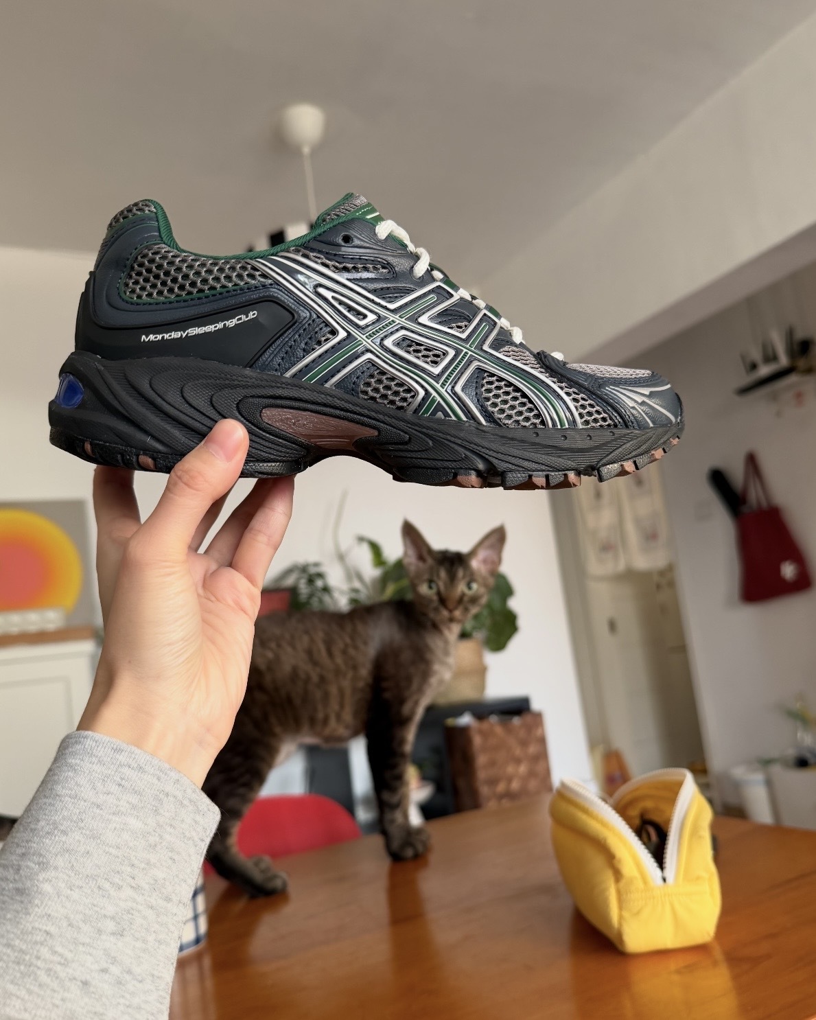 image_47787417-5A53-4F2A-8BBB-1CCC1E9B8425_1769069346