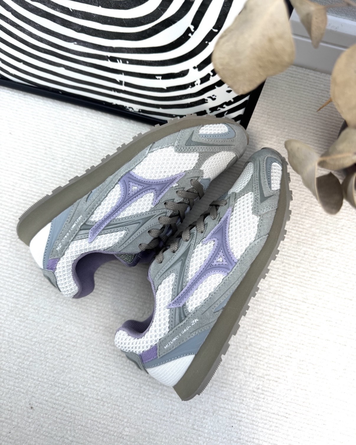 image_658AF602-0AAD-43FE-9BBE-223C71692484_1769138436