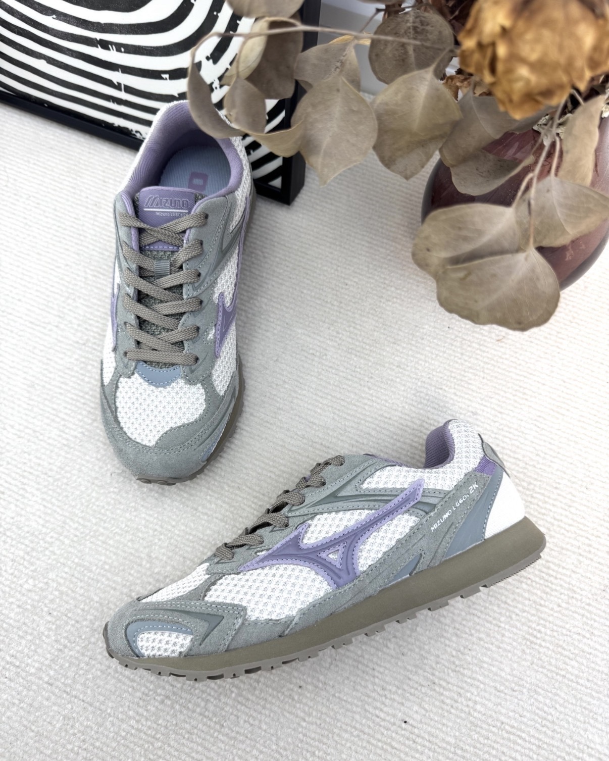 image_2185D02B-3377-493F-977D-3192B12289C8_1769138436