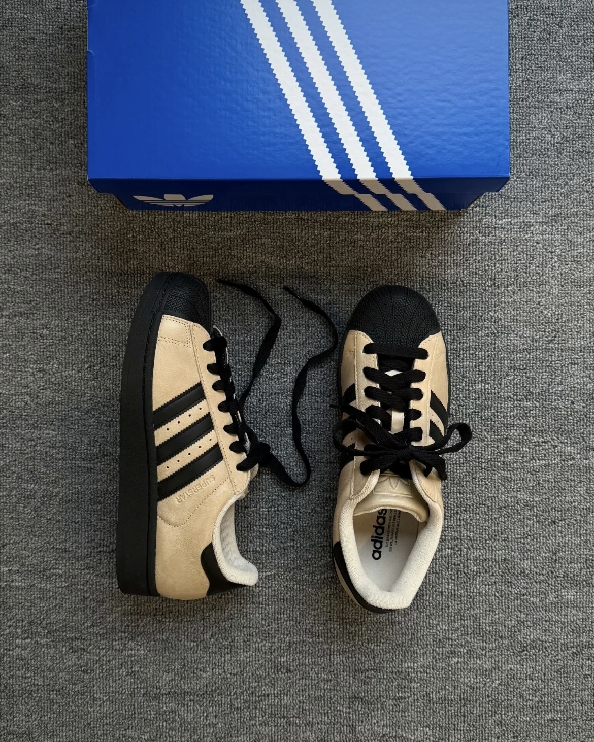 image_BA35E74A-AD0A-4D33-8FF0-1CA7A1776540_1769144391