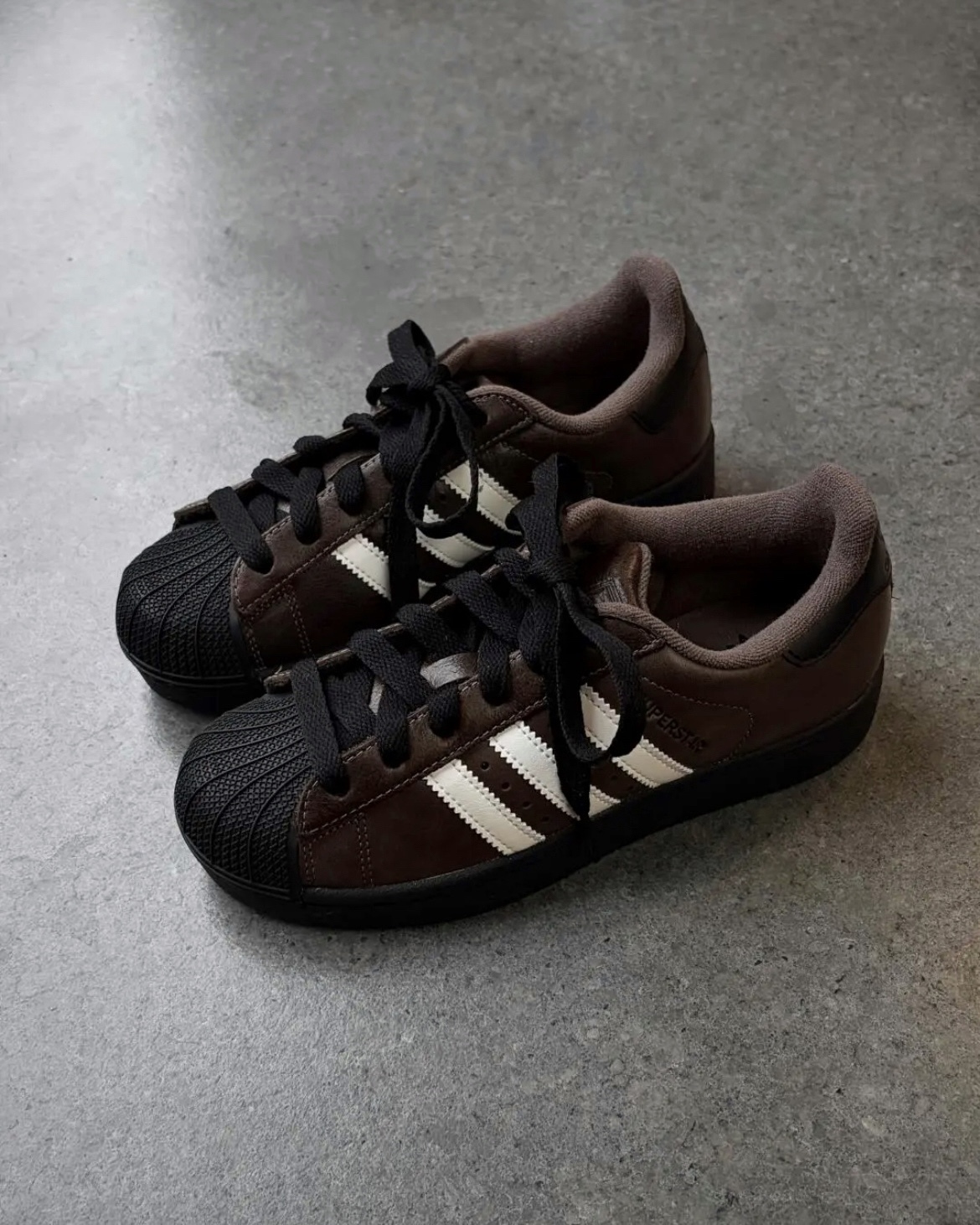 image_7921812B-6BCA-4787-A382-403146A0A68F_1769144391