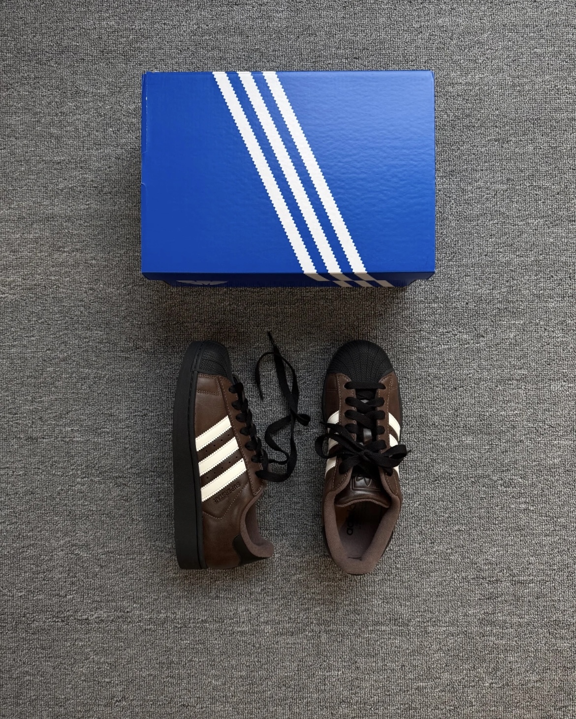 image_953C94BE-35D3-44DA-9F86-CDB88E071871_1769144391